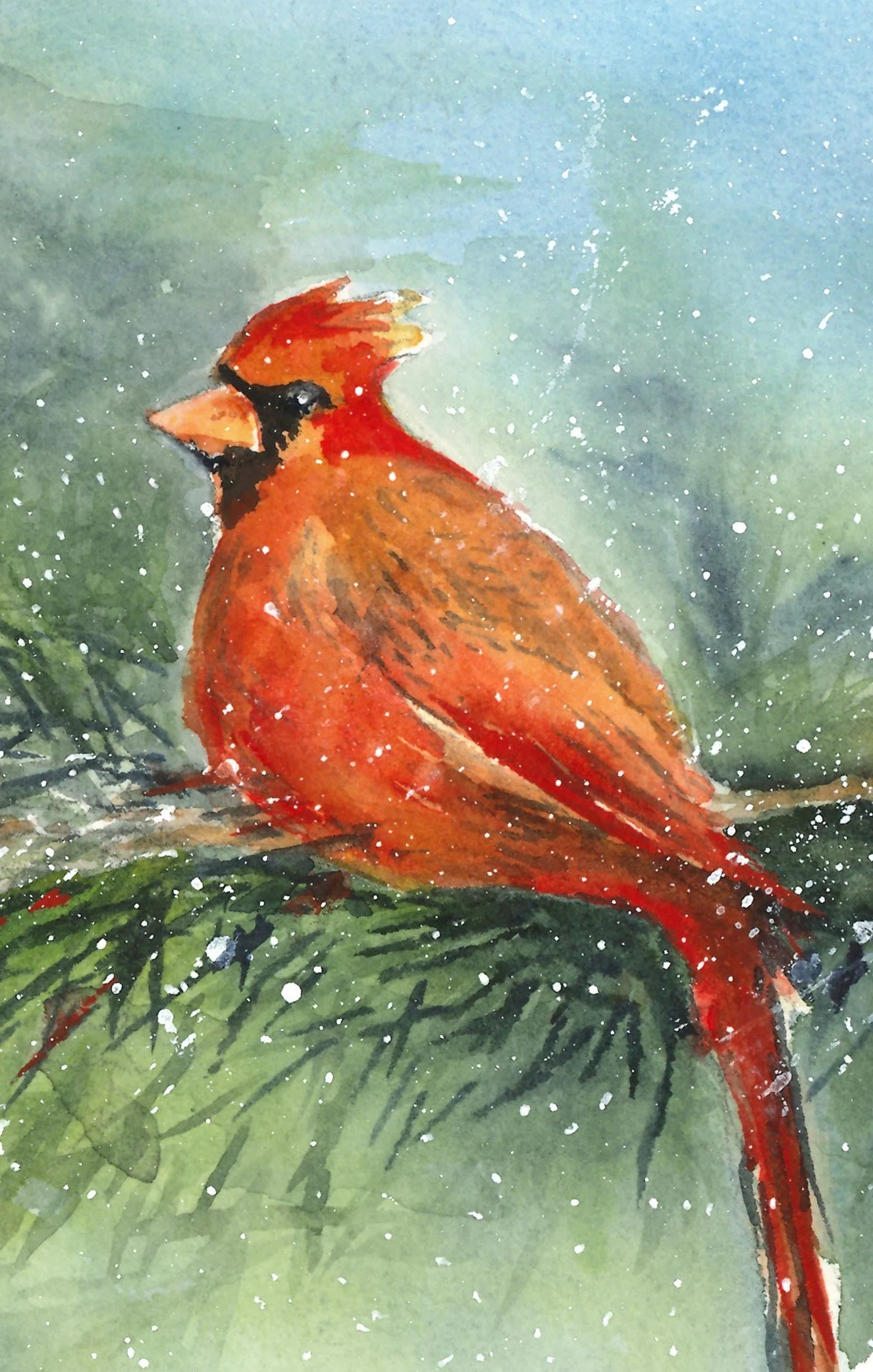 scanned cardinal in snow edited.jpg