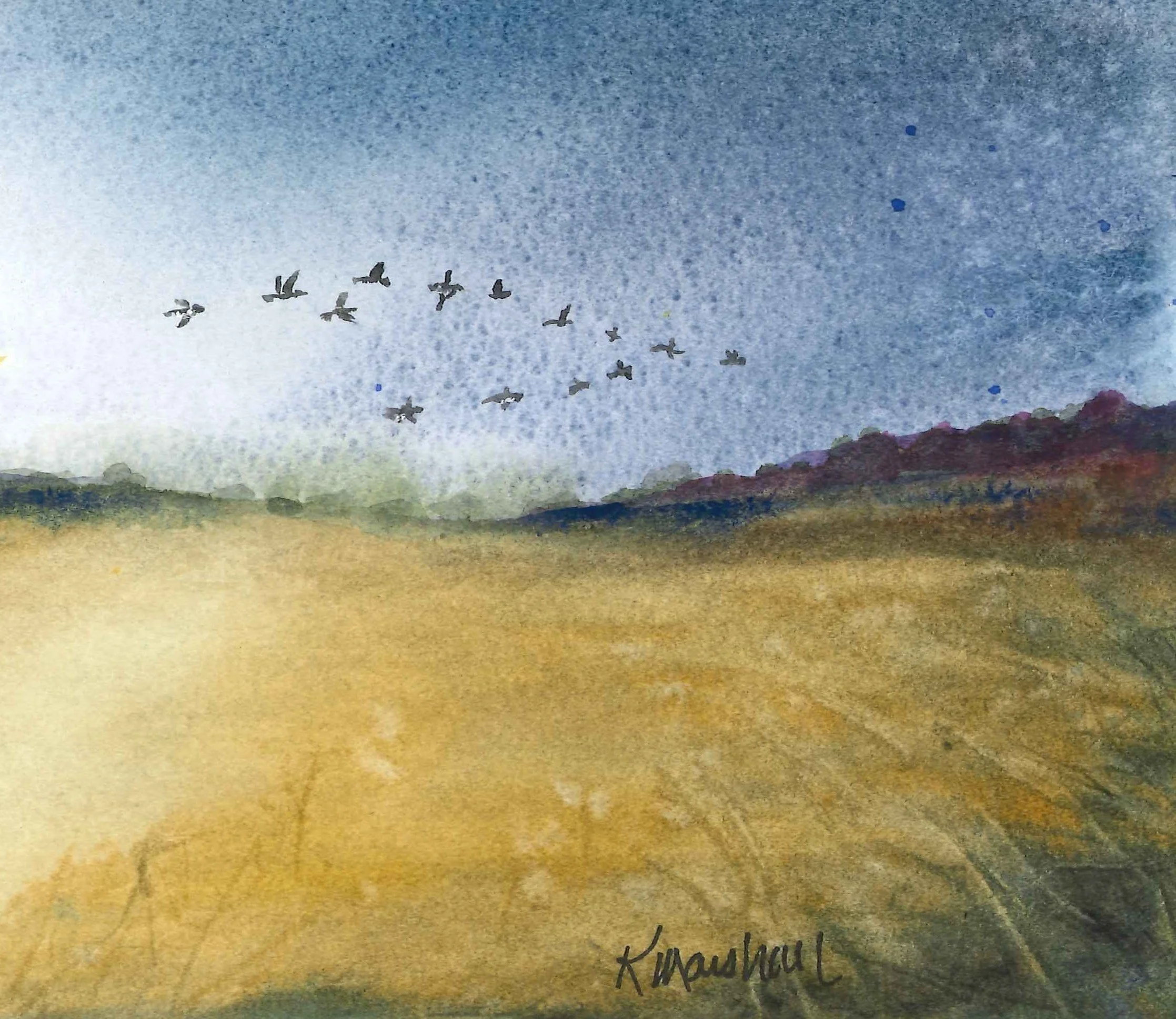 Scanned sky and geese  cropped.jpg