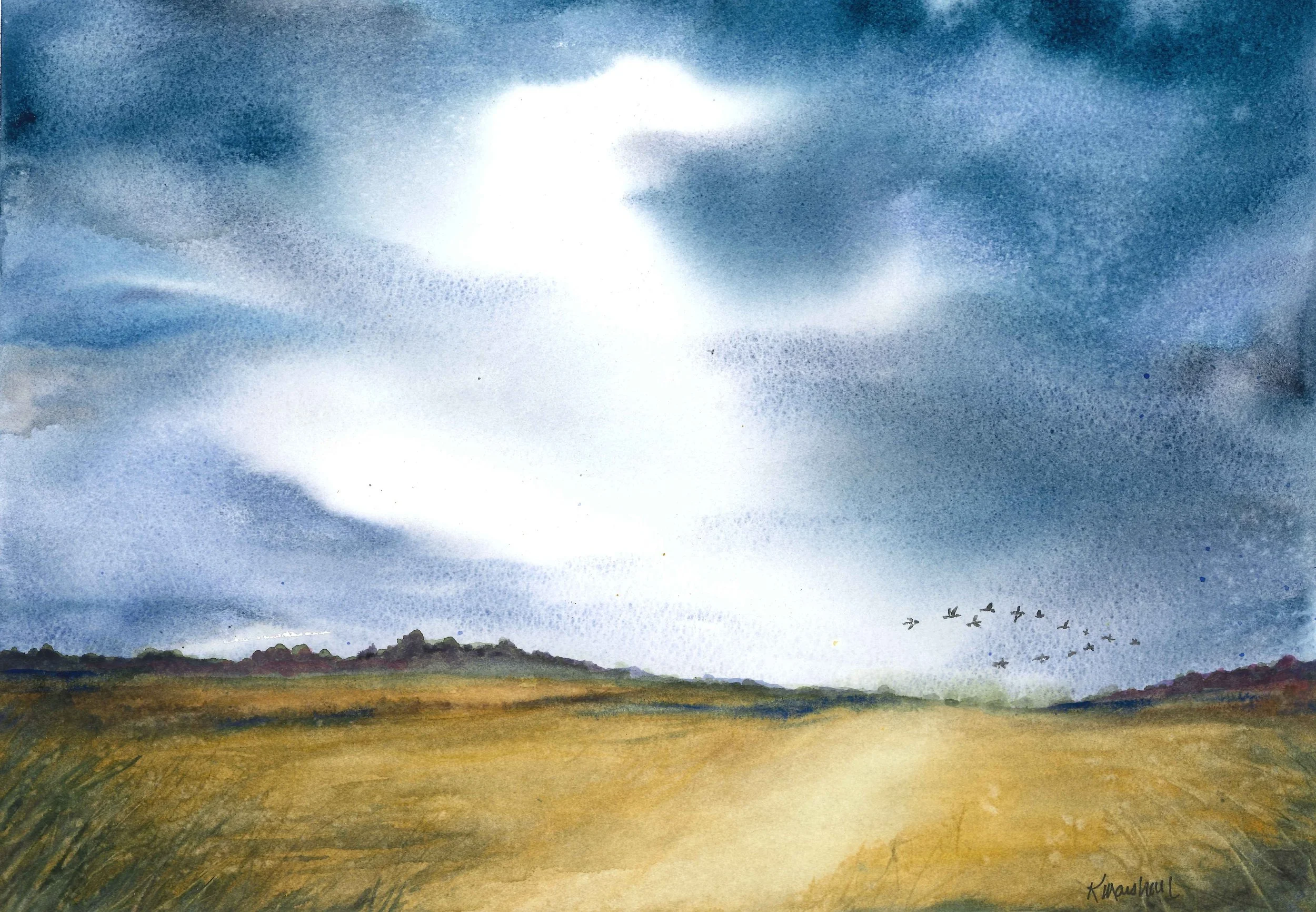 Scanned sky and geese.jpg