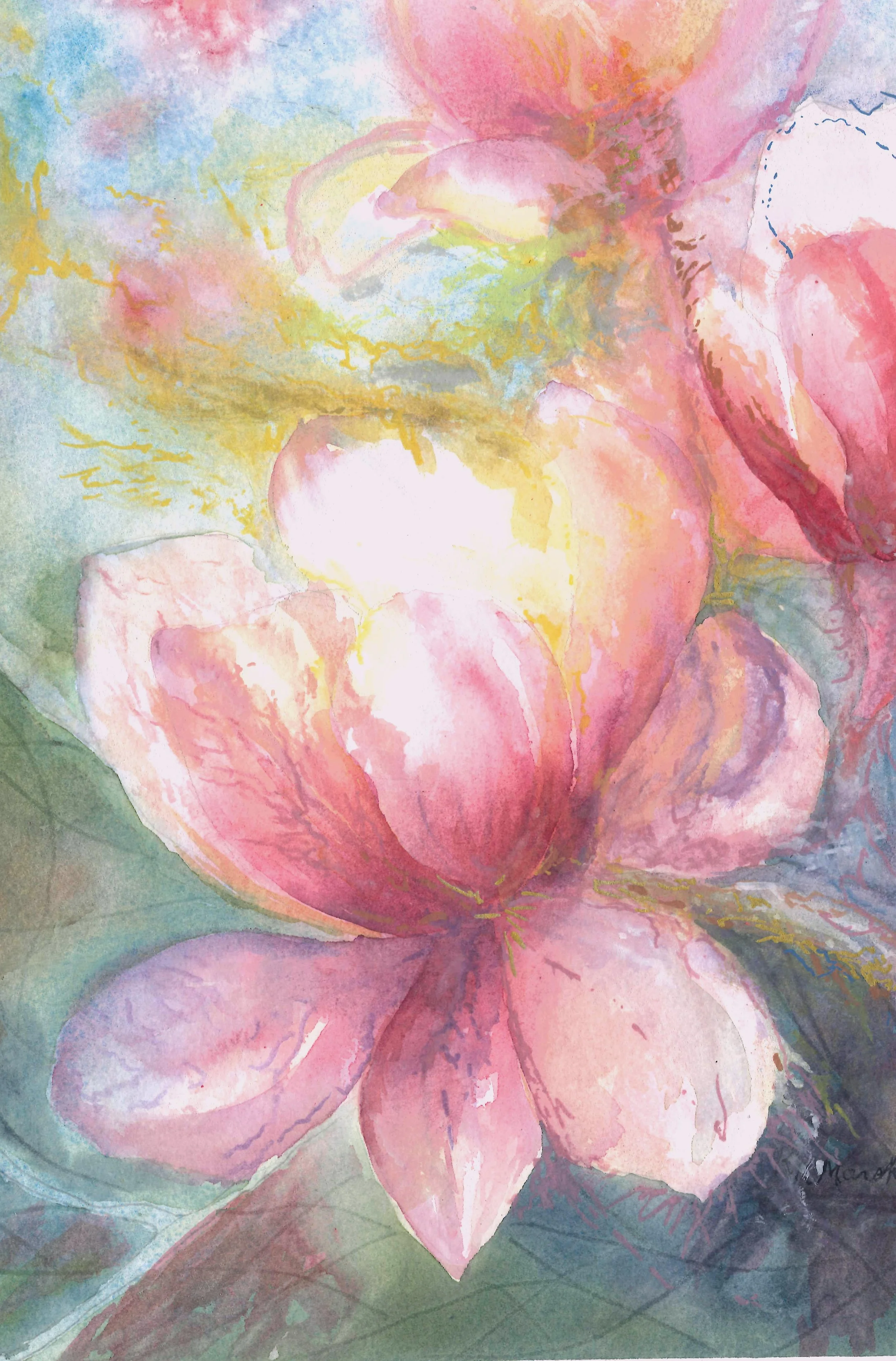 Scanned magnolia with marker (1).jpg