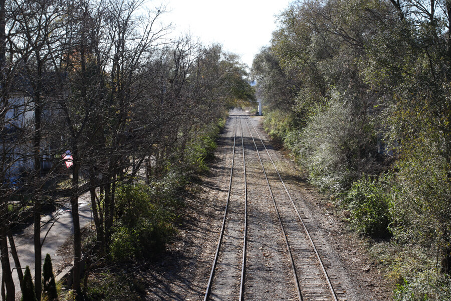A Walk Along The Oasis Line