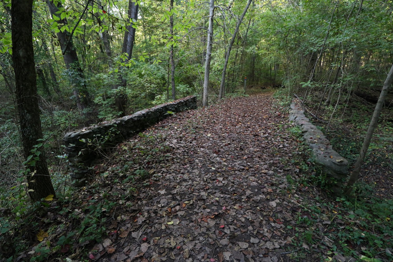The Argonne Forest Amusement Park — Ronny Salerno