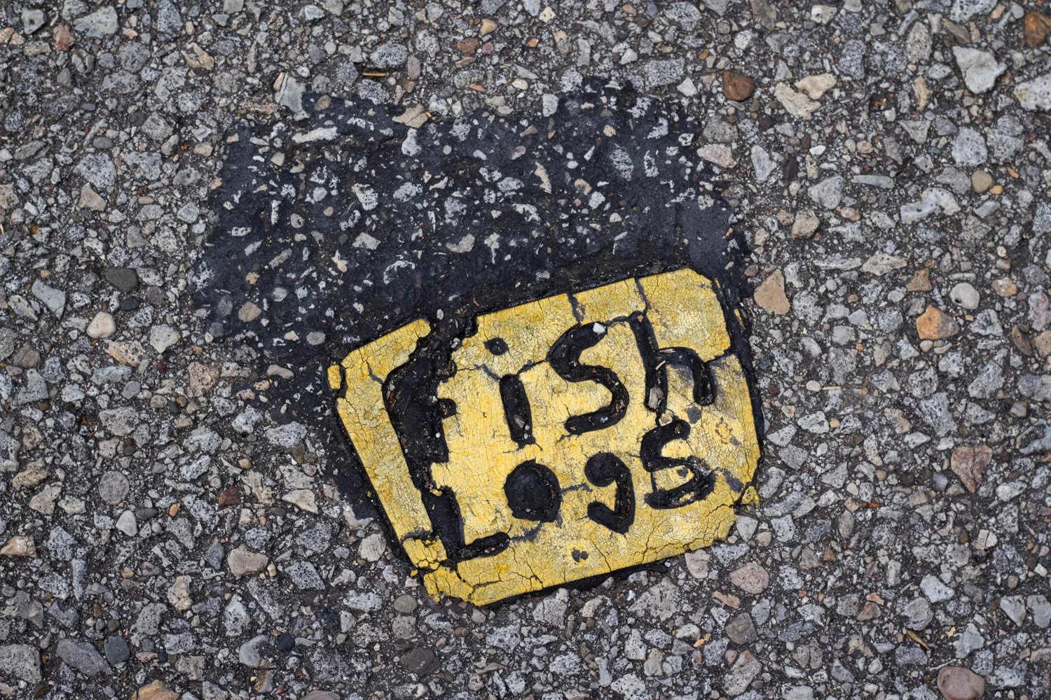   August 2025  | Ronny Salerno 