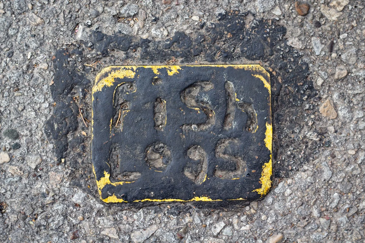   November 2023  | Ronny Salerno 