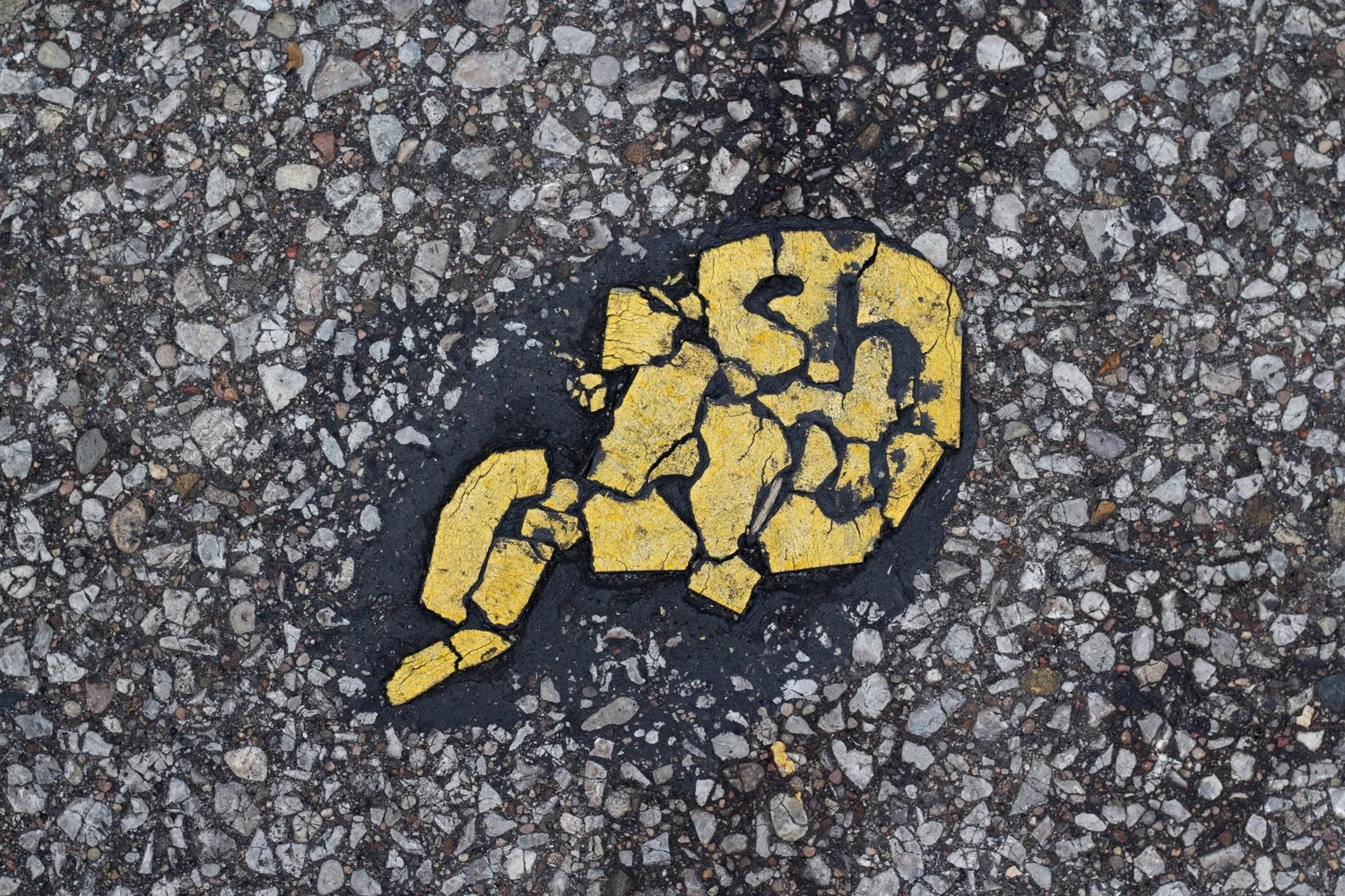   August 2025  | Ronny Salerno 