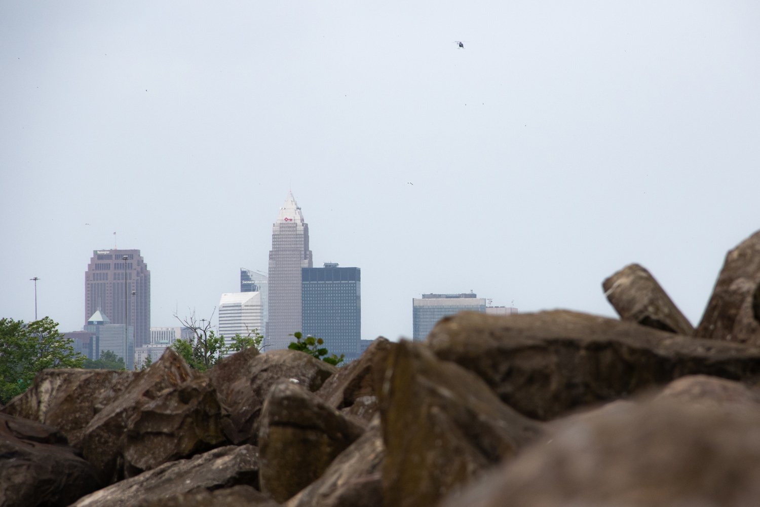 R26_1367.jpg