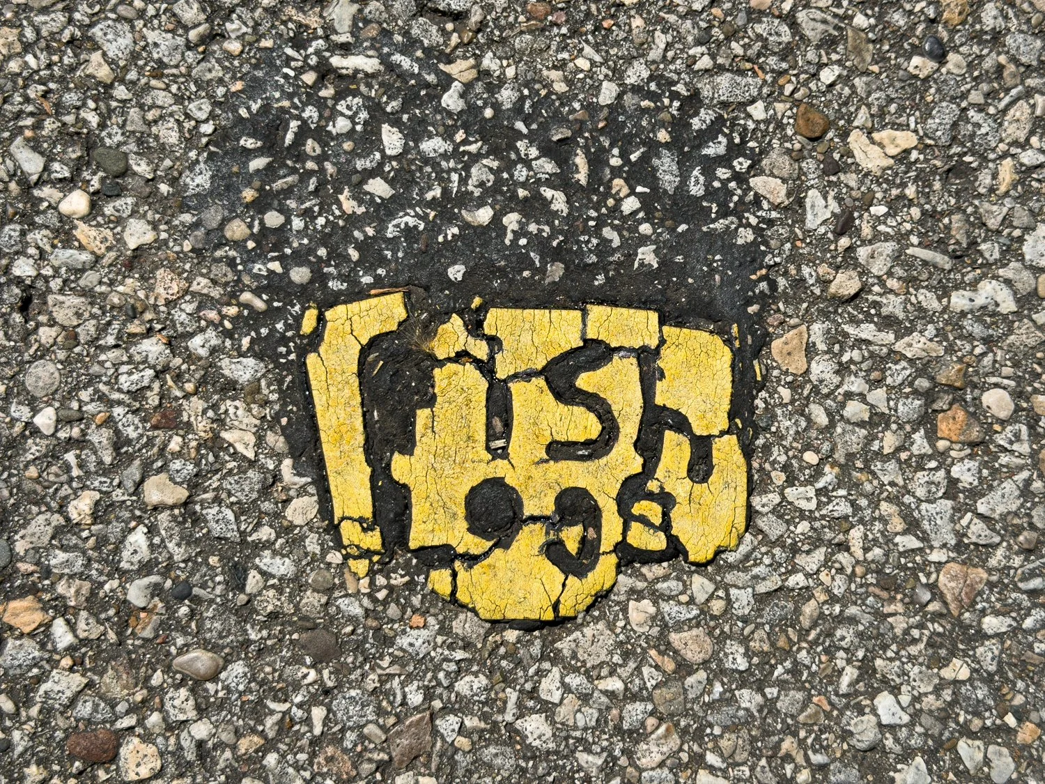   July 2026  | Ronny Salerno 