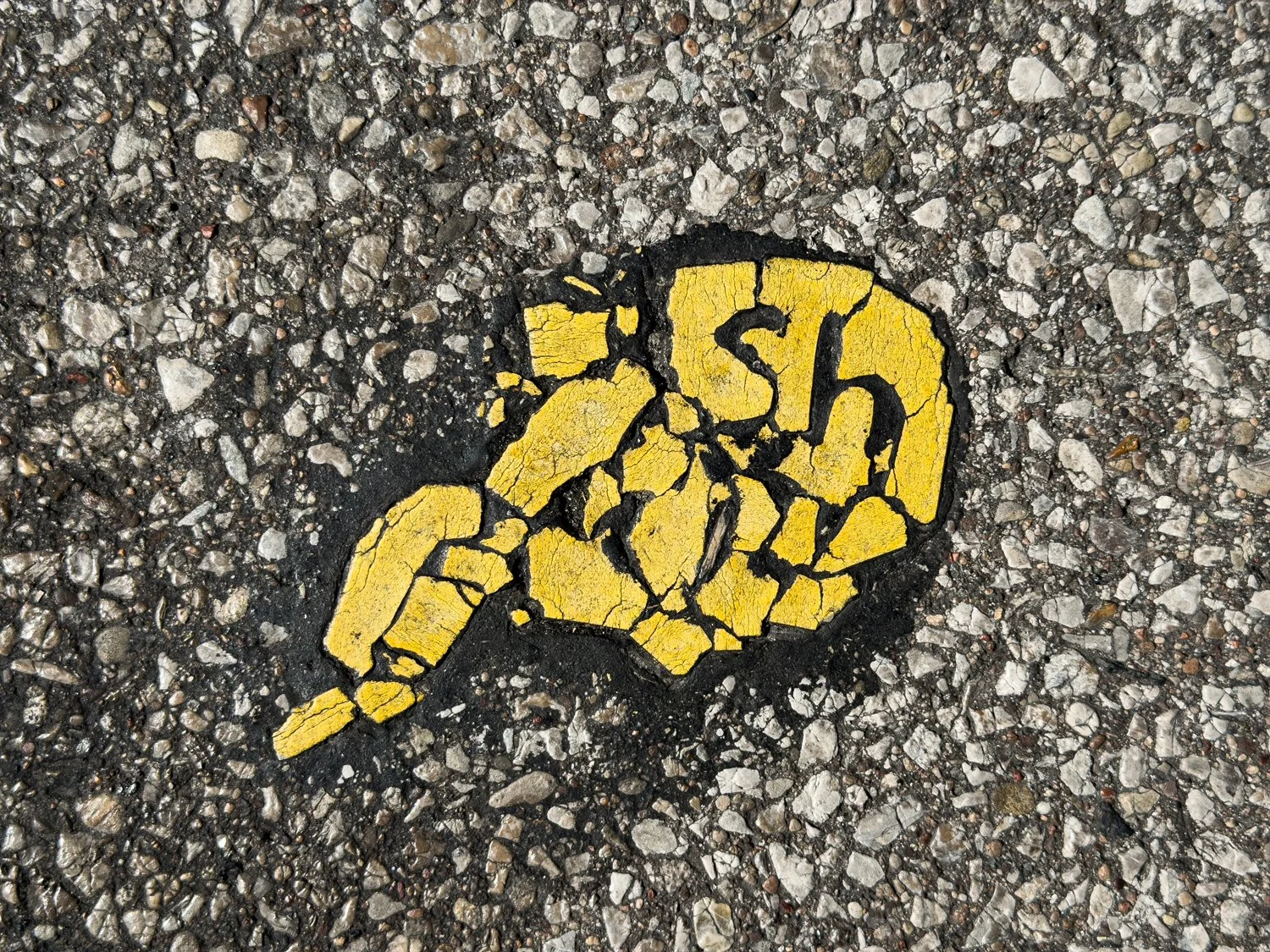   September 2026  | Ronny Salerno 