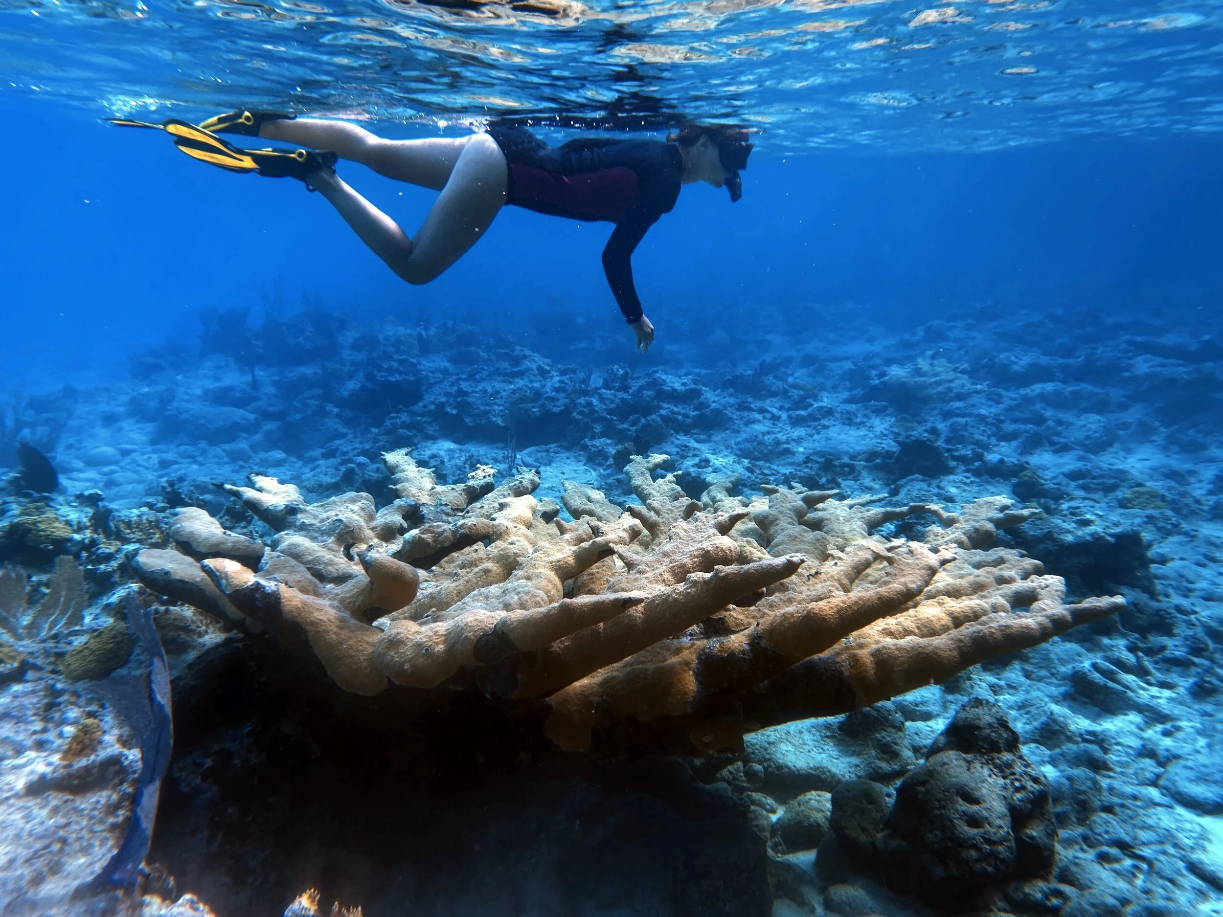 Exuma Staniel Cay sailing charter vacations.