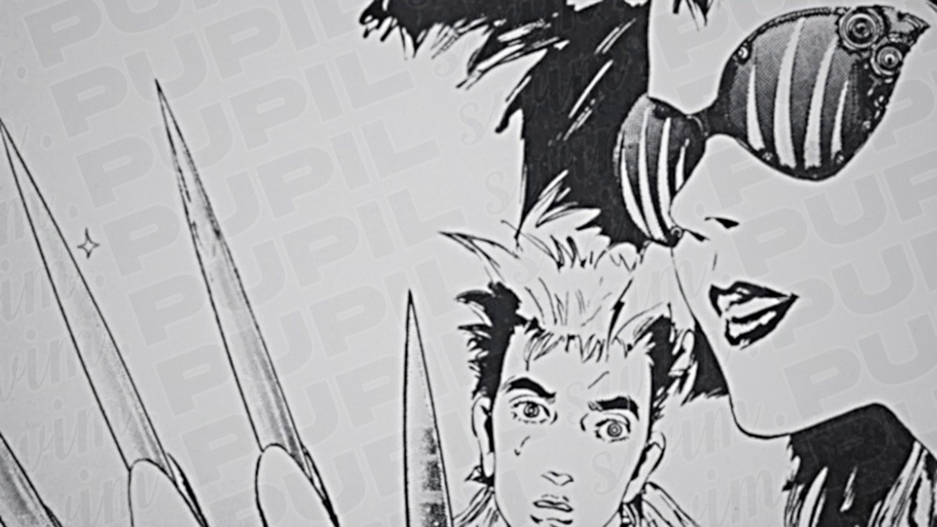 are artwork of William Gibson's Neuromancer by Japanese illustrator Suemi Jun.