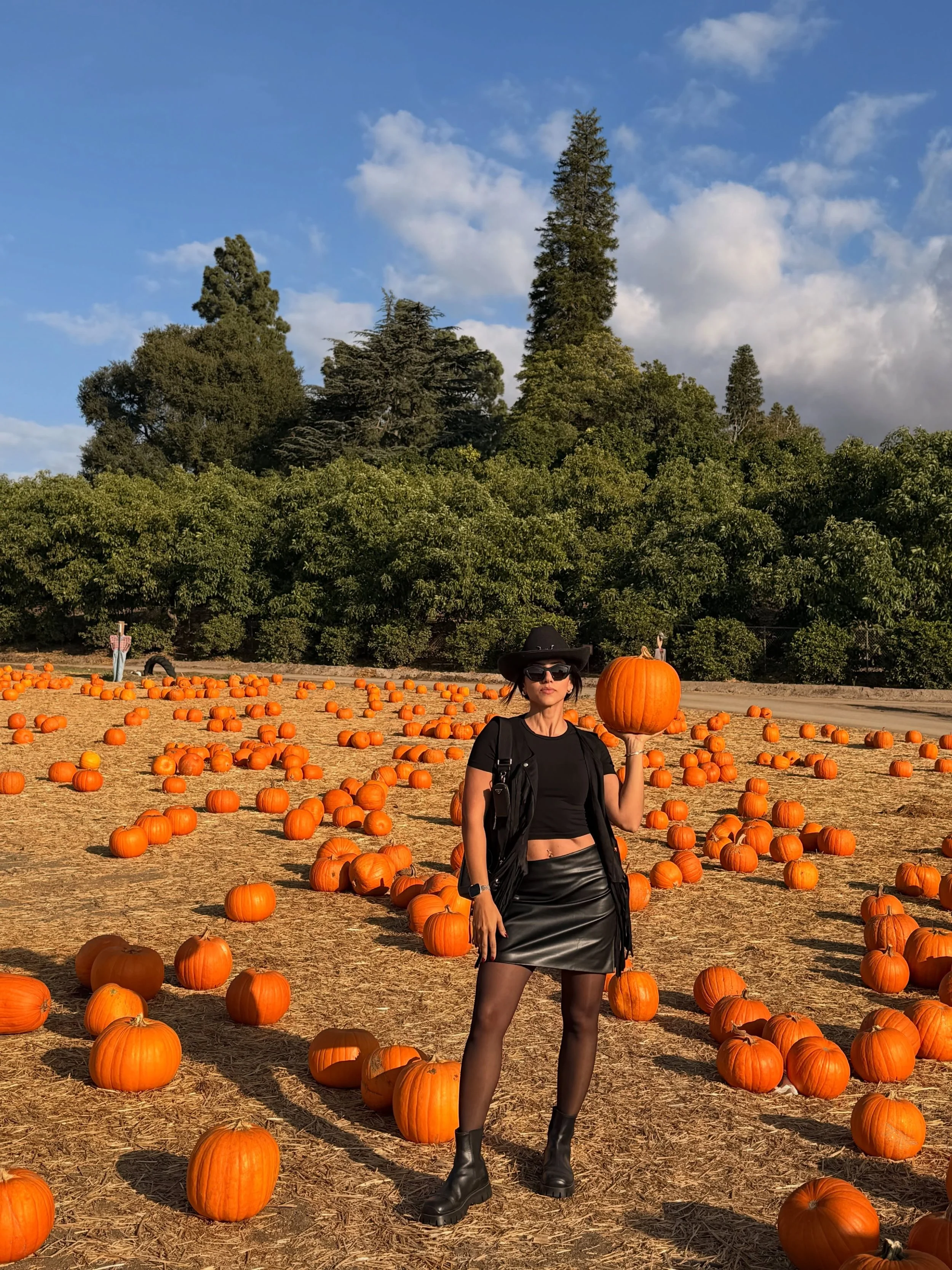 Couldn&rsquo;t find the pumpkin square 🎃

#nutrifitopia #pumpkin #fall #halloweeen