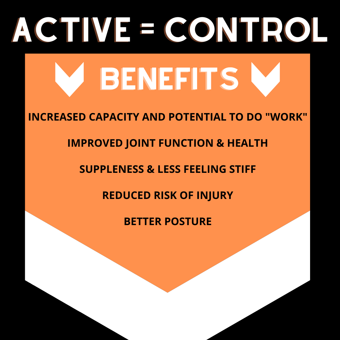 What is Active Range of Motion It's Importance on Longevity and Pain Free Training Resilient