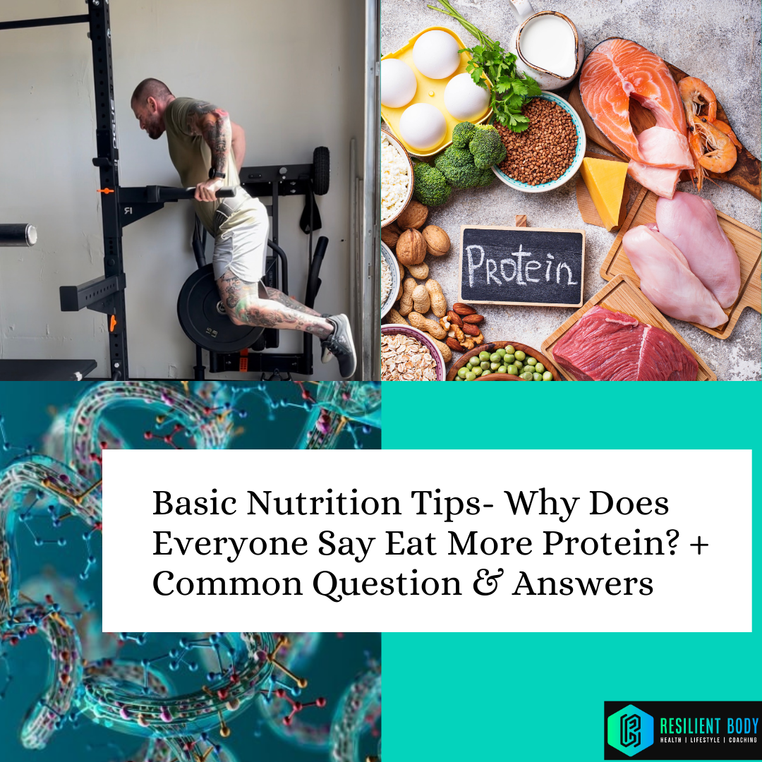Basic Nutrition Tips- Why Does Everyone Say Eat More Protein? + Common Question & Answers