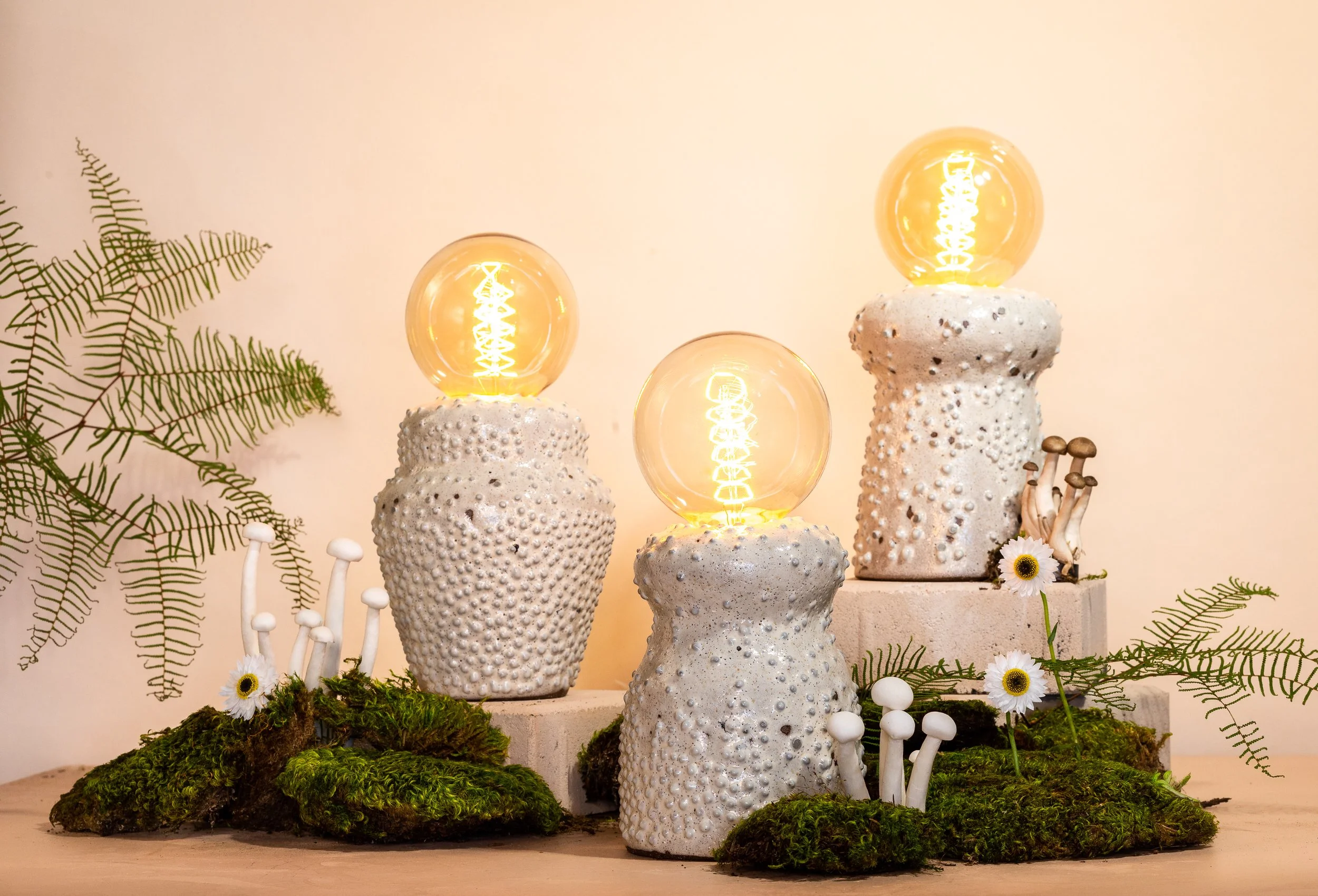 BAF_2022S1_potandshrooms_kristenmurakoshi-3.jpg