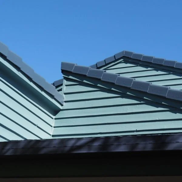 Project spotlight - Roof and external repaint