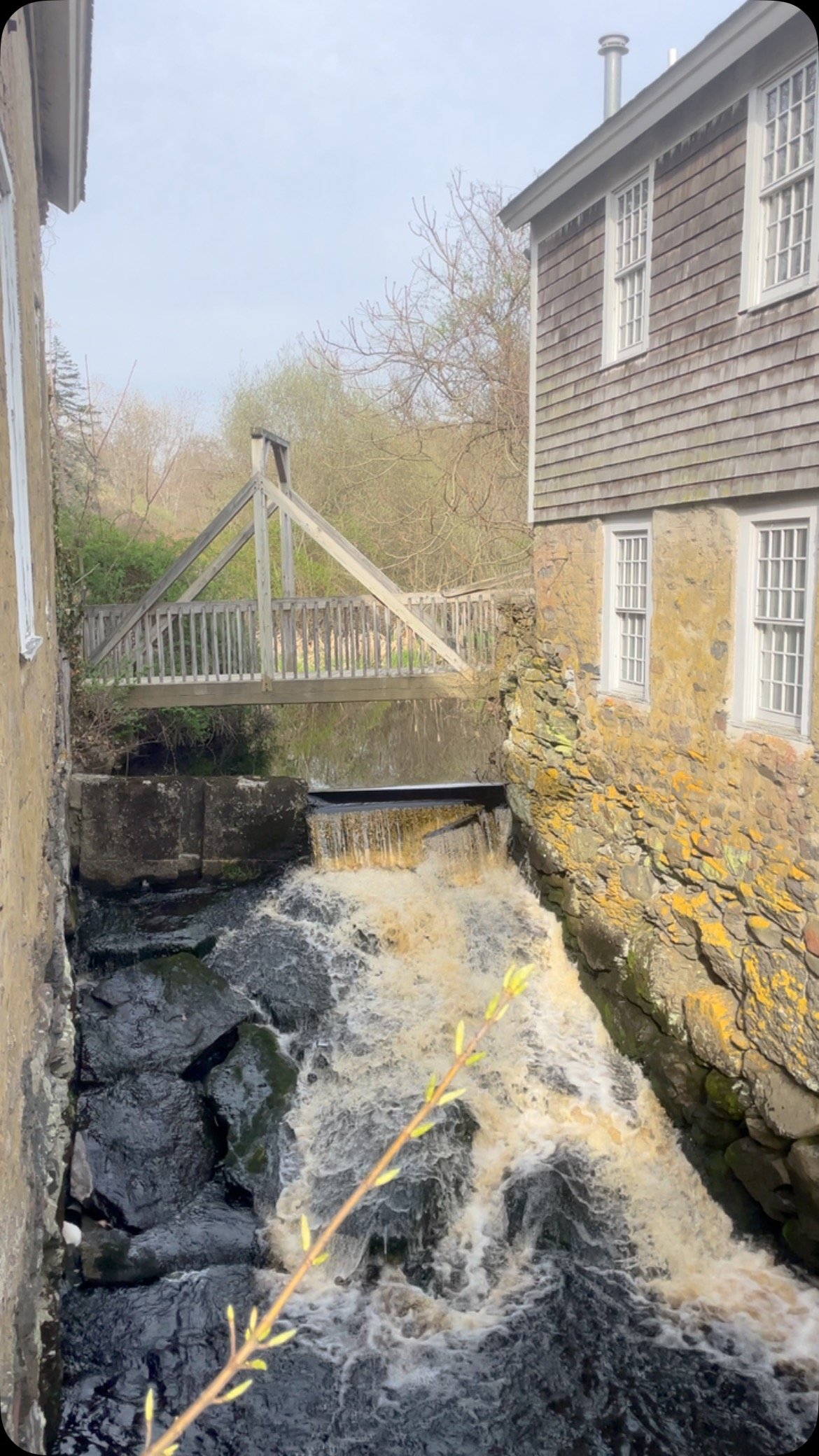 The Borden Brook was moving yesterday in @tivertonfourcorners
Have you been to this spot? #exploretiverton #millpondshops