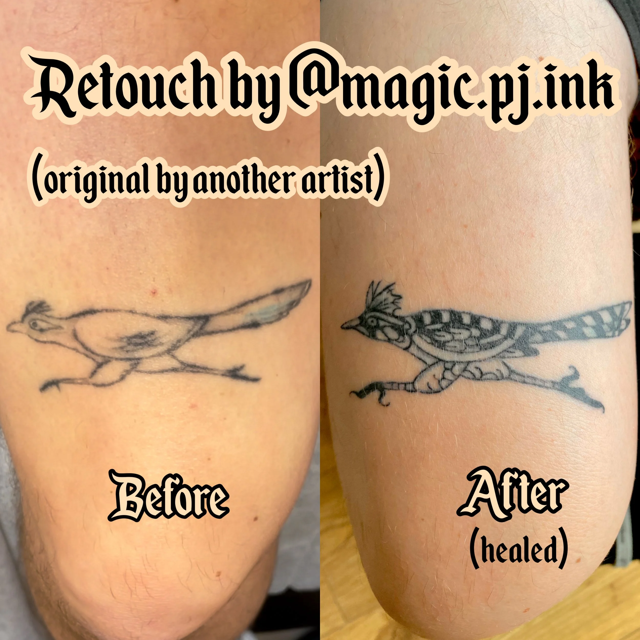 Bird tattoo retouch in Utrecht