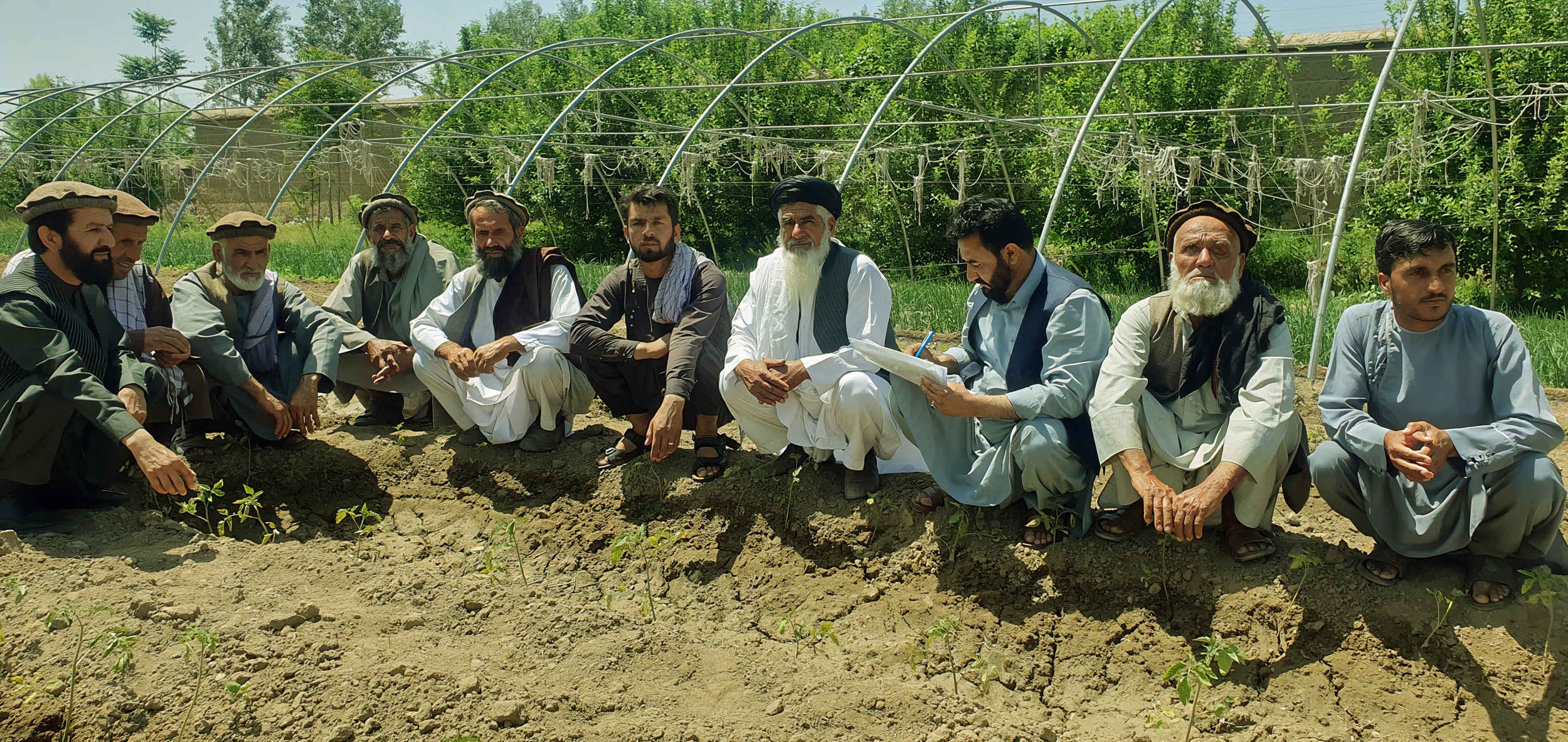 2025, Farmerf Kapisa province2500edit.jpg