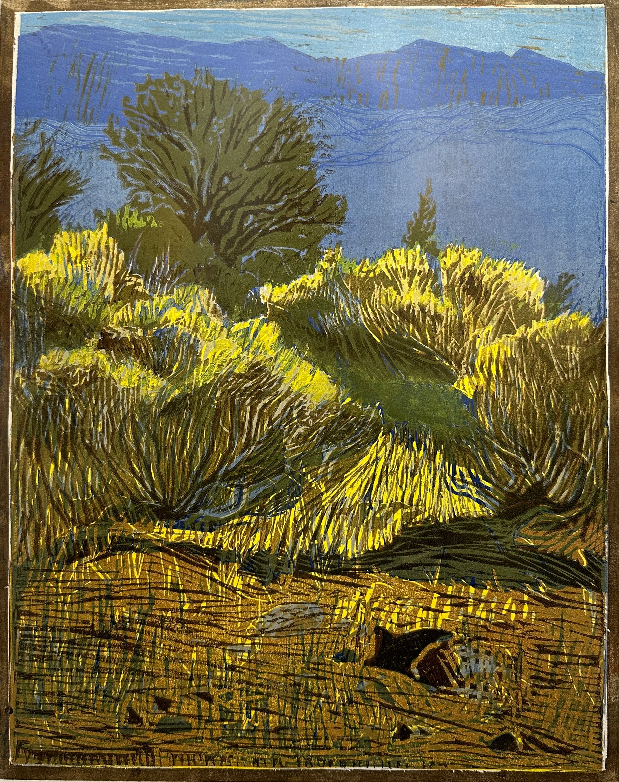 Melinda Whipplesmith / Rabbit Brush