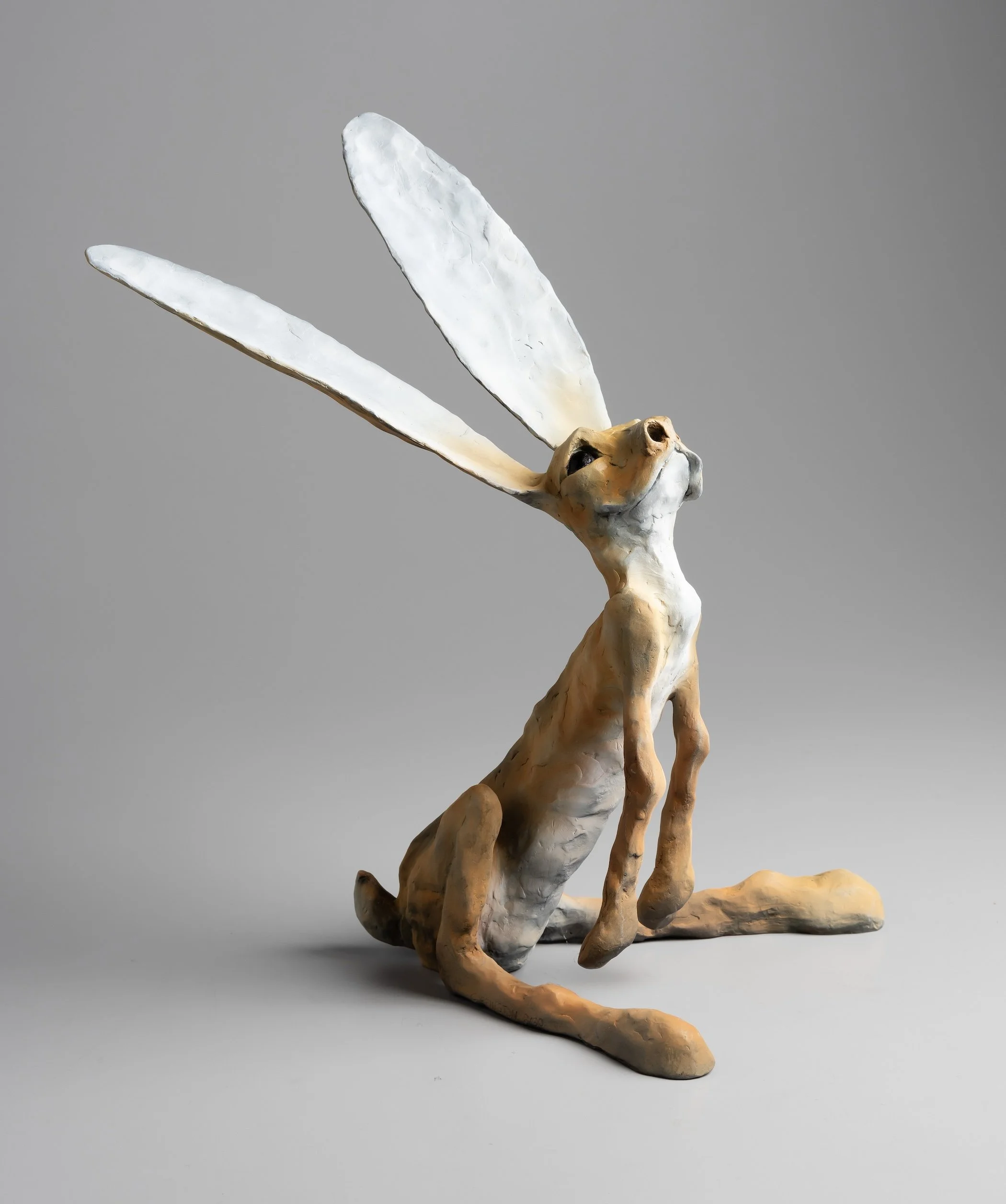 William Carrington / Oh My