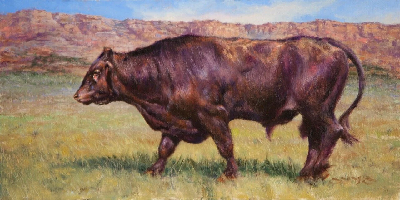 William Suys / Solitary Strut