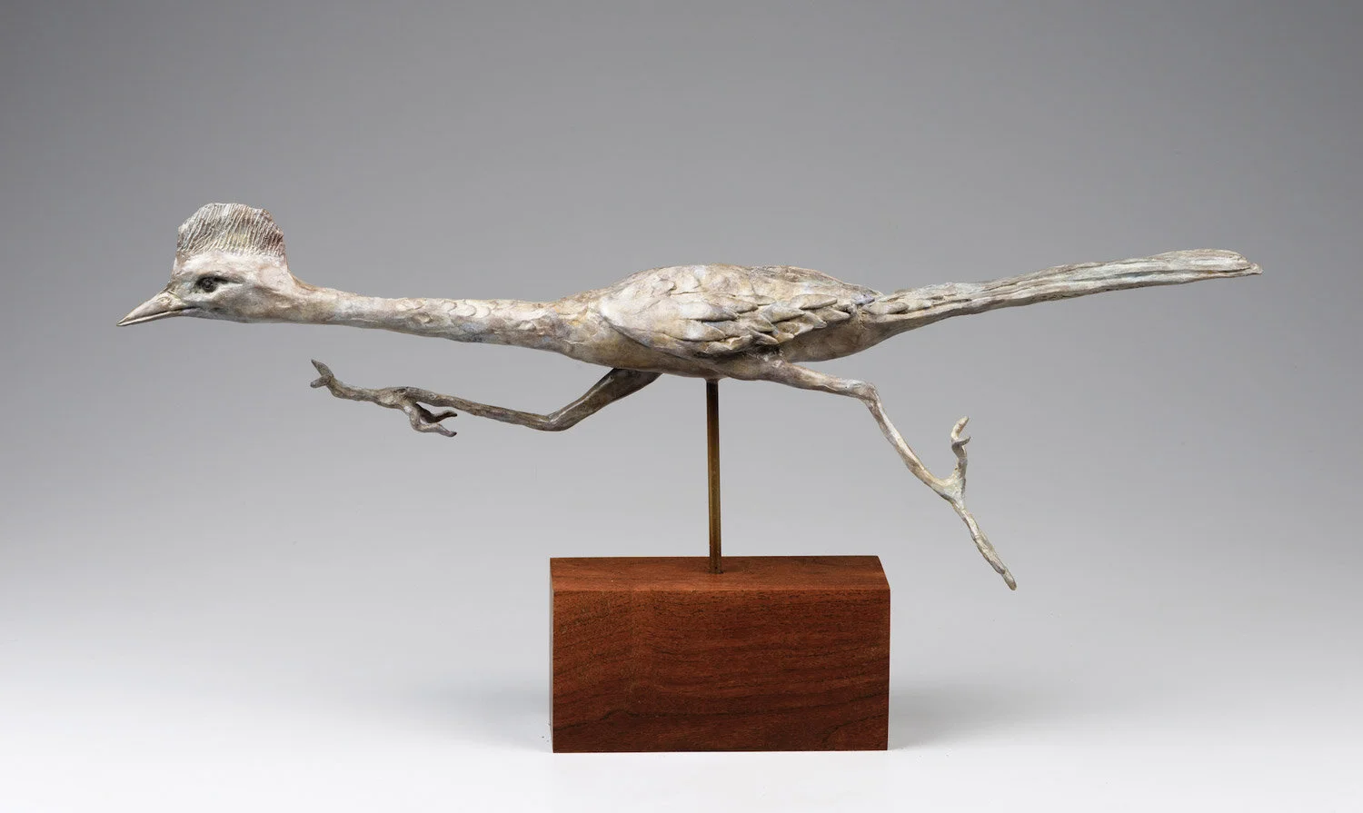 William Carrington / Pronto