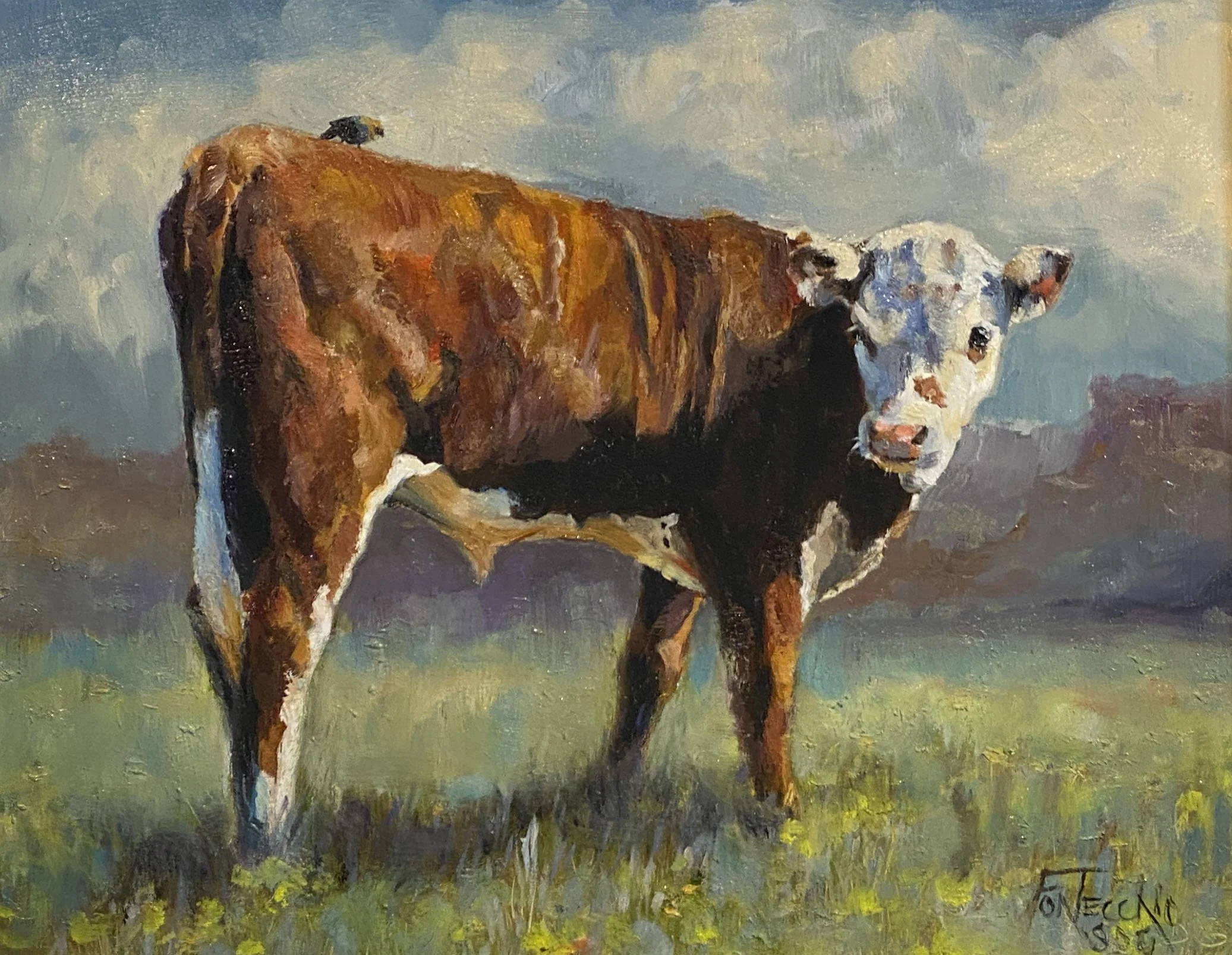 Jan Fontecchio / Sunlight Cowbird