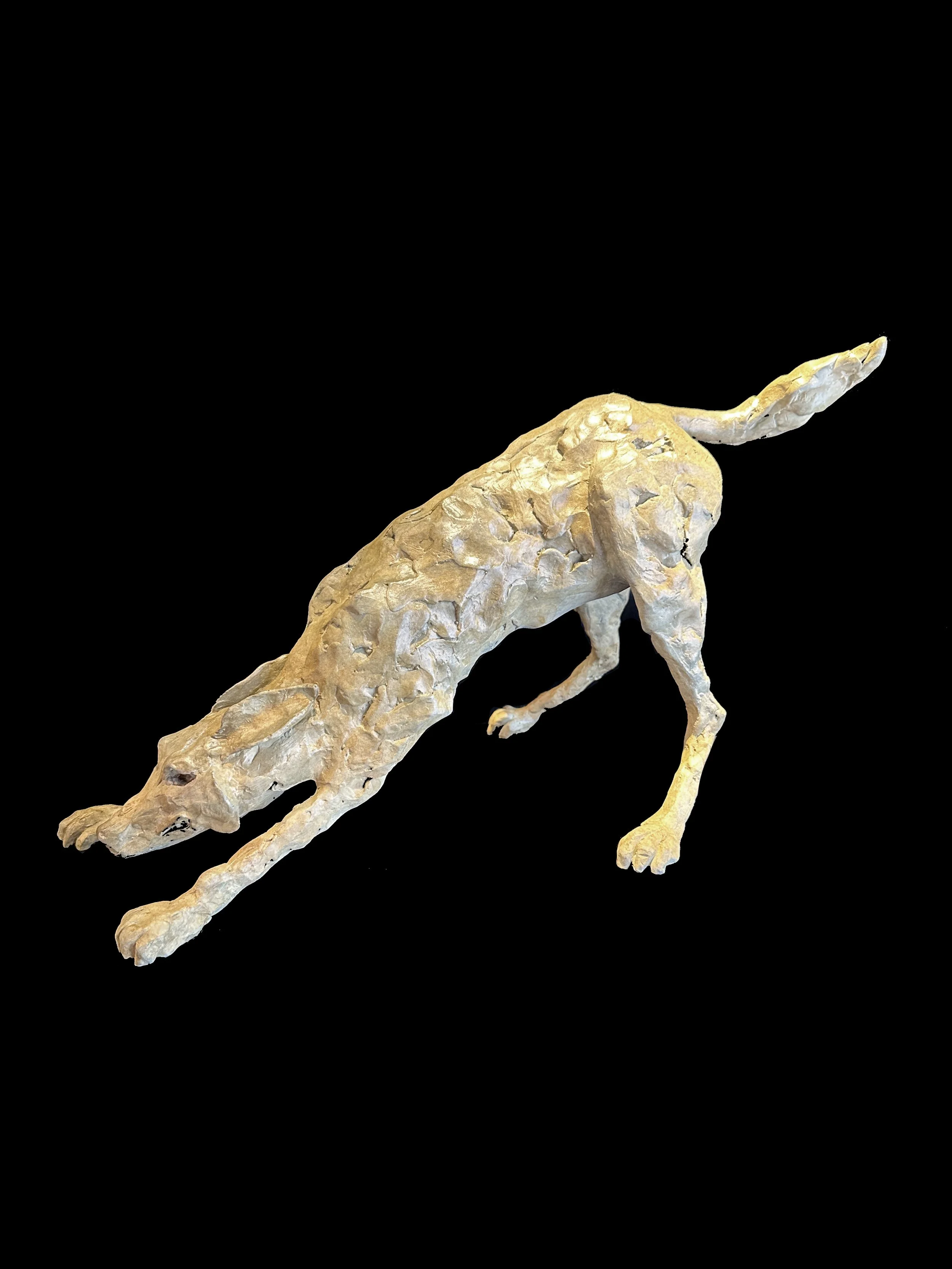 William Carrington / Jugar