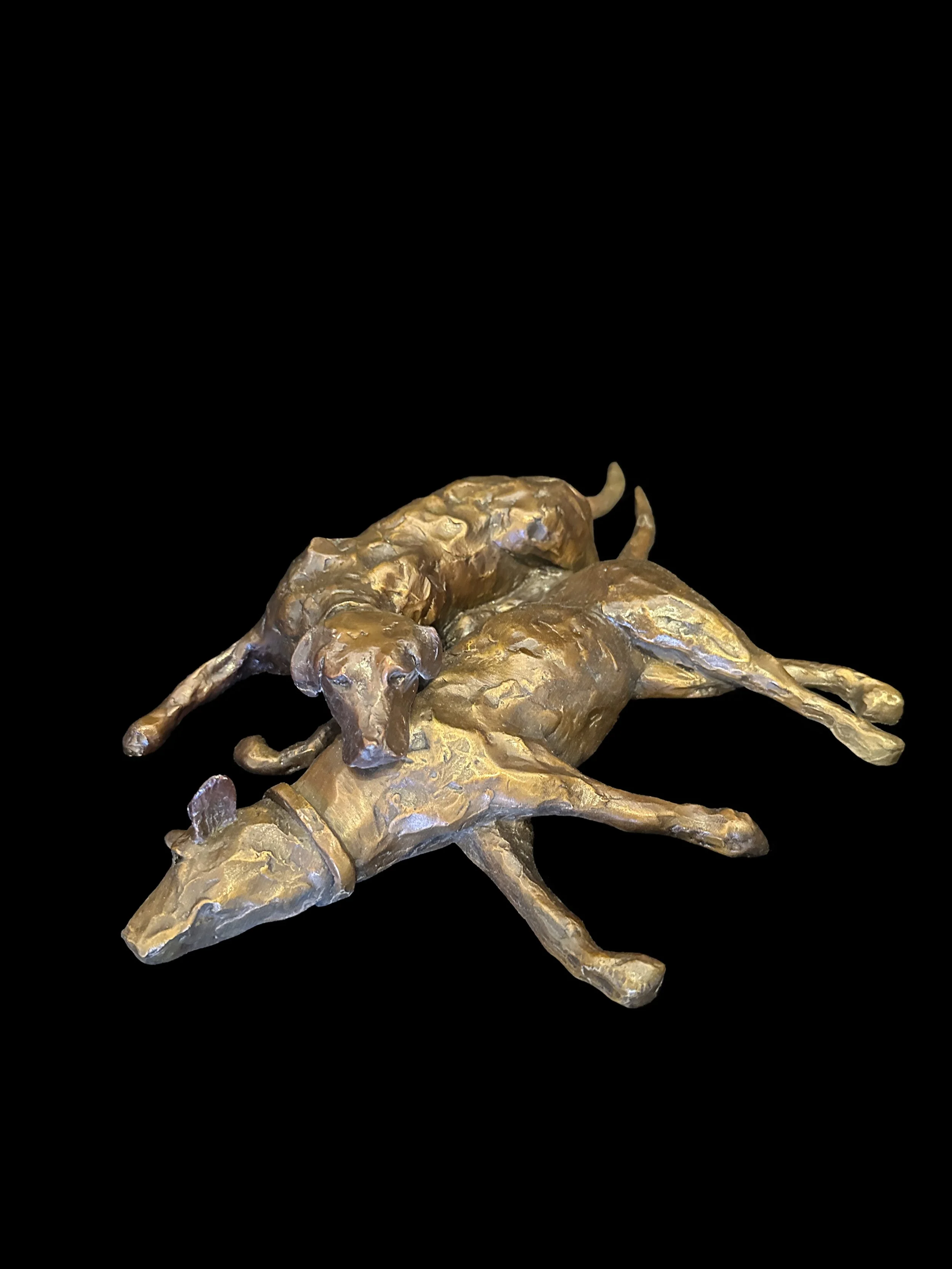 William Carrington / Hermanos