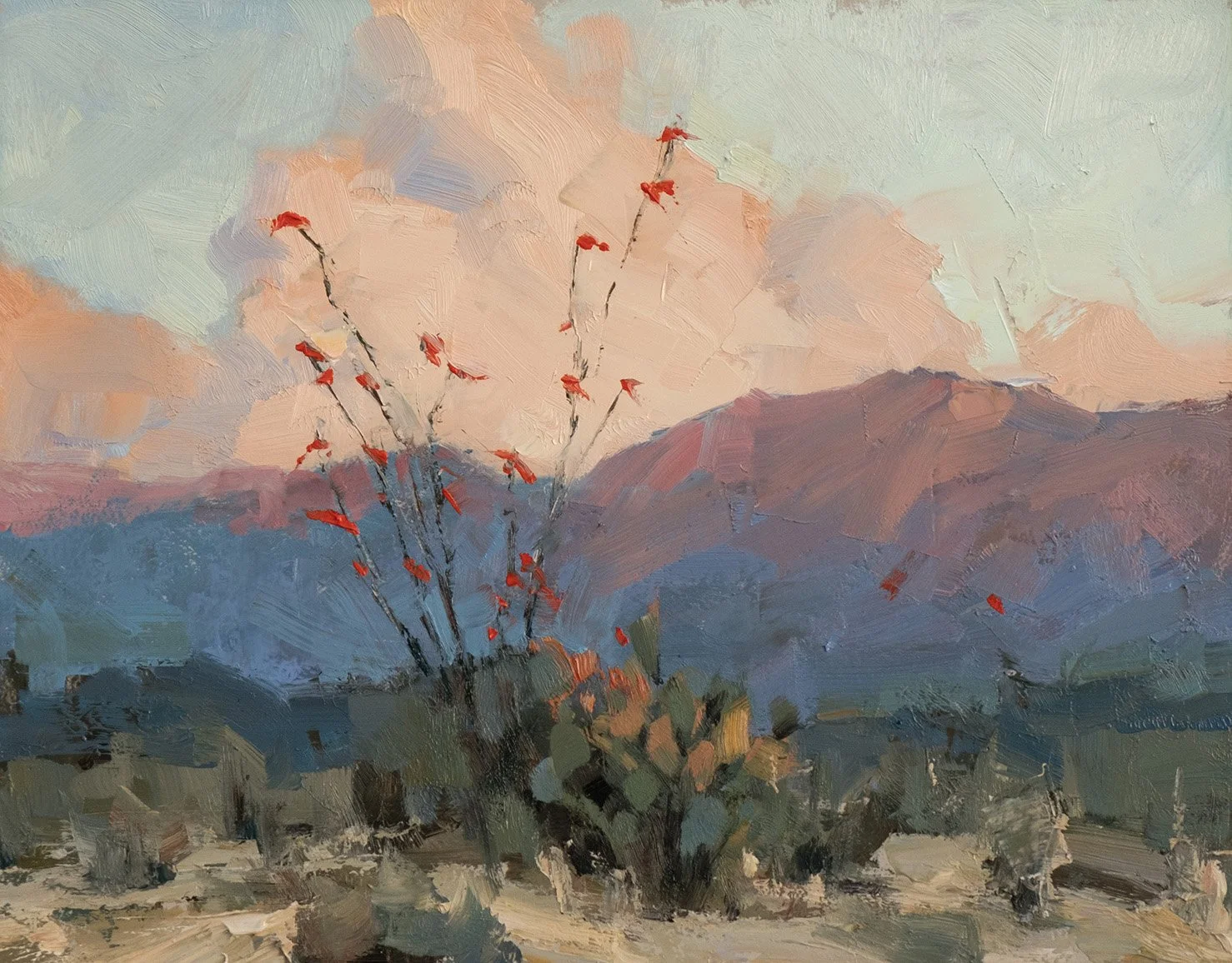 CThomas Ocotillo Blossoms $900 Oil 11x14 .jpg