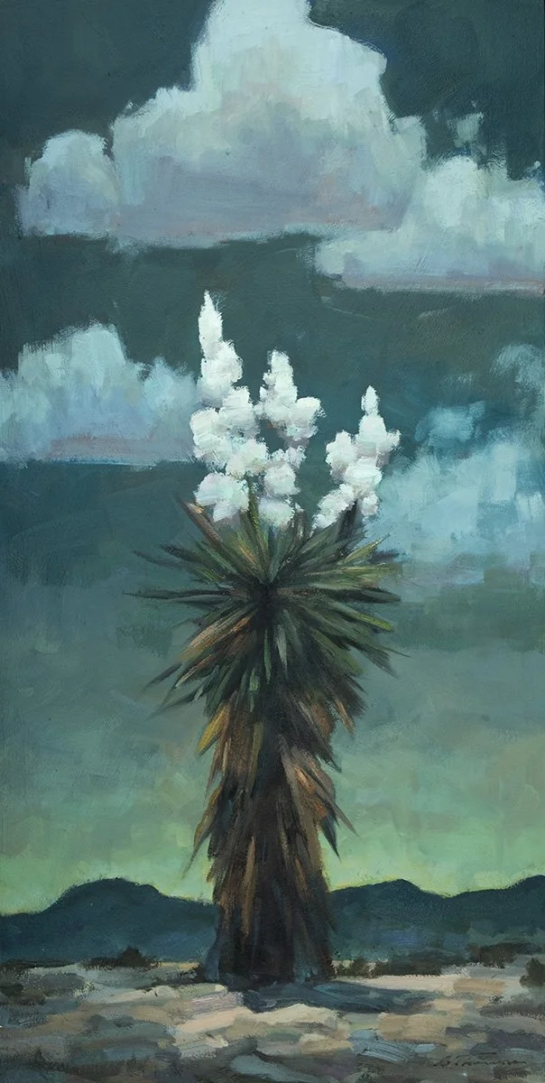 Midnight ¥uccas Oil 36 x 18 $2400.jpg