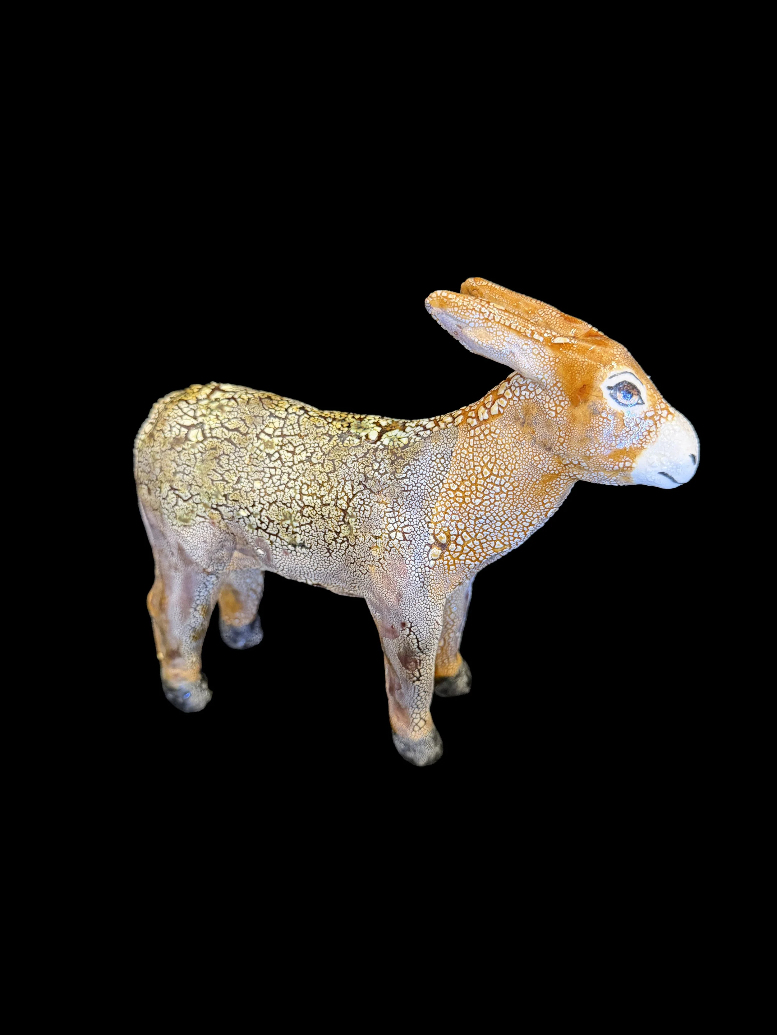 Caroline Douglas / Burro