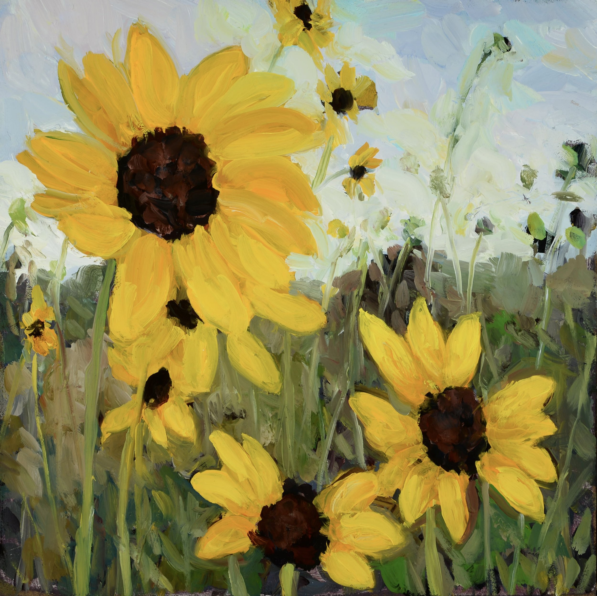 Matthew Higginbotham / Clouds and Sunflowers
