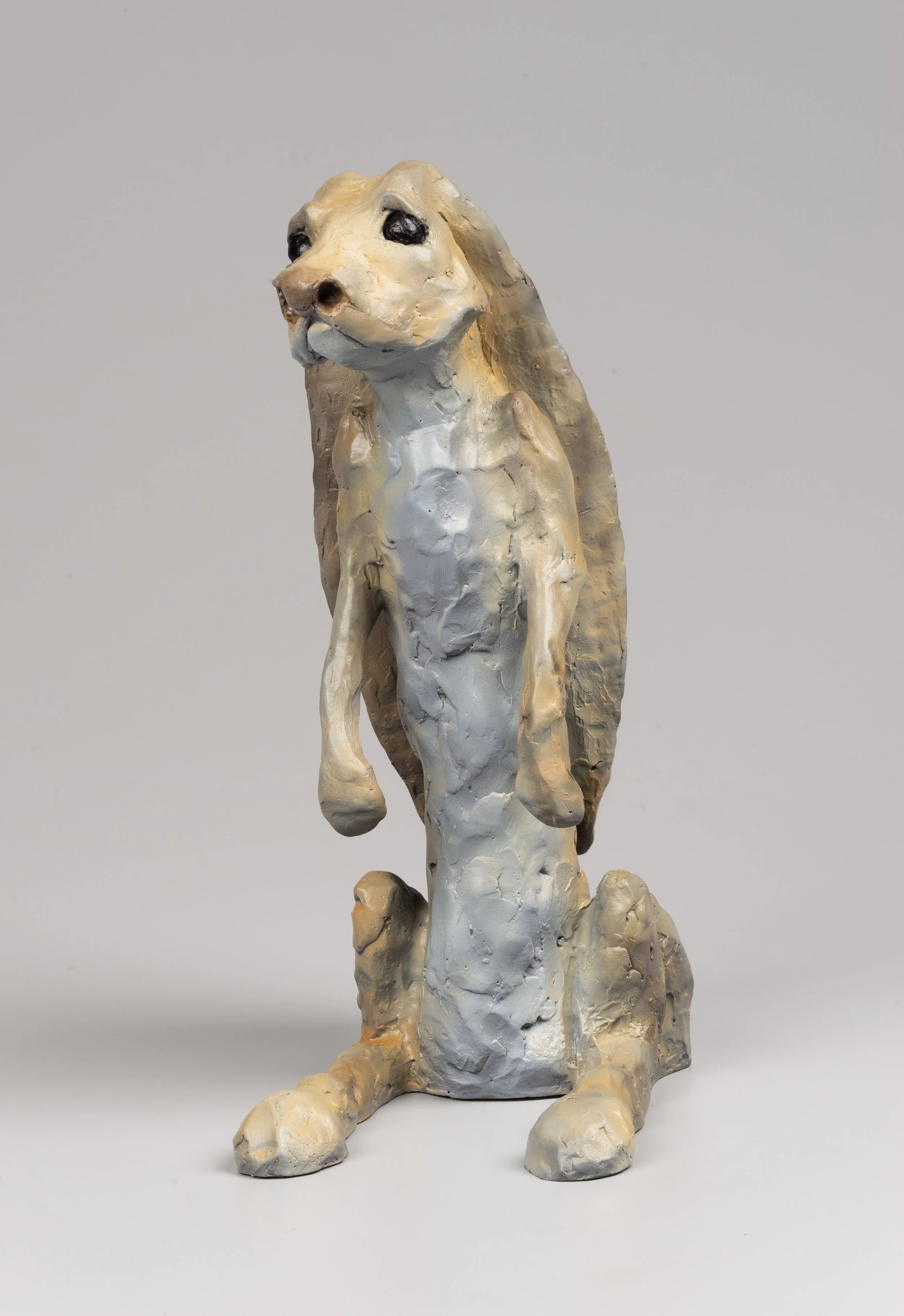 William Carrington /Pre Ocupada