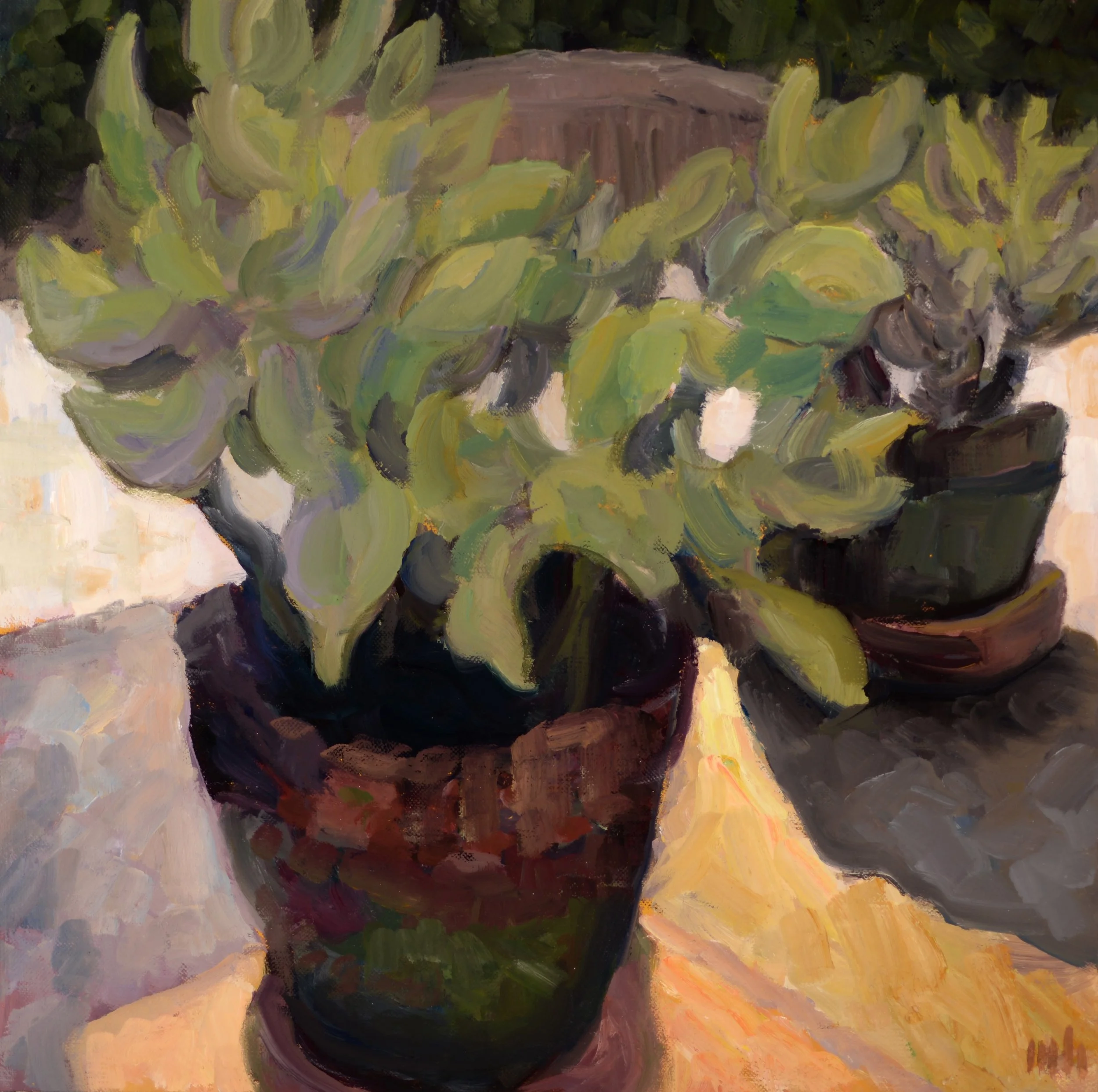 Matthew Higginbotham / Succulents (2026 Solo Show)