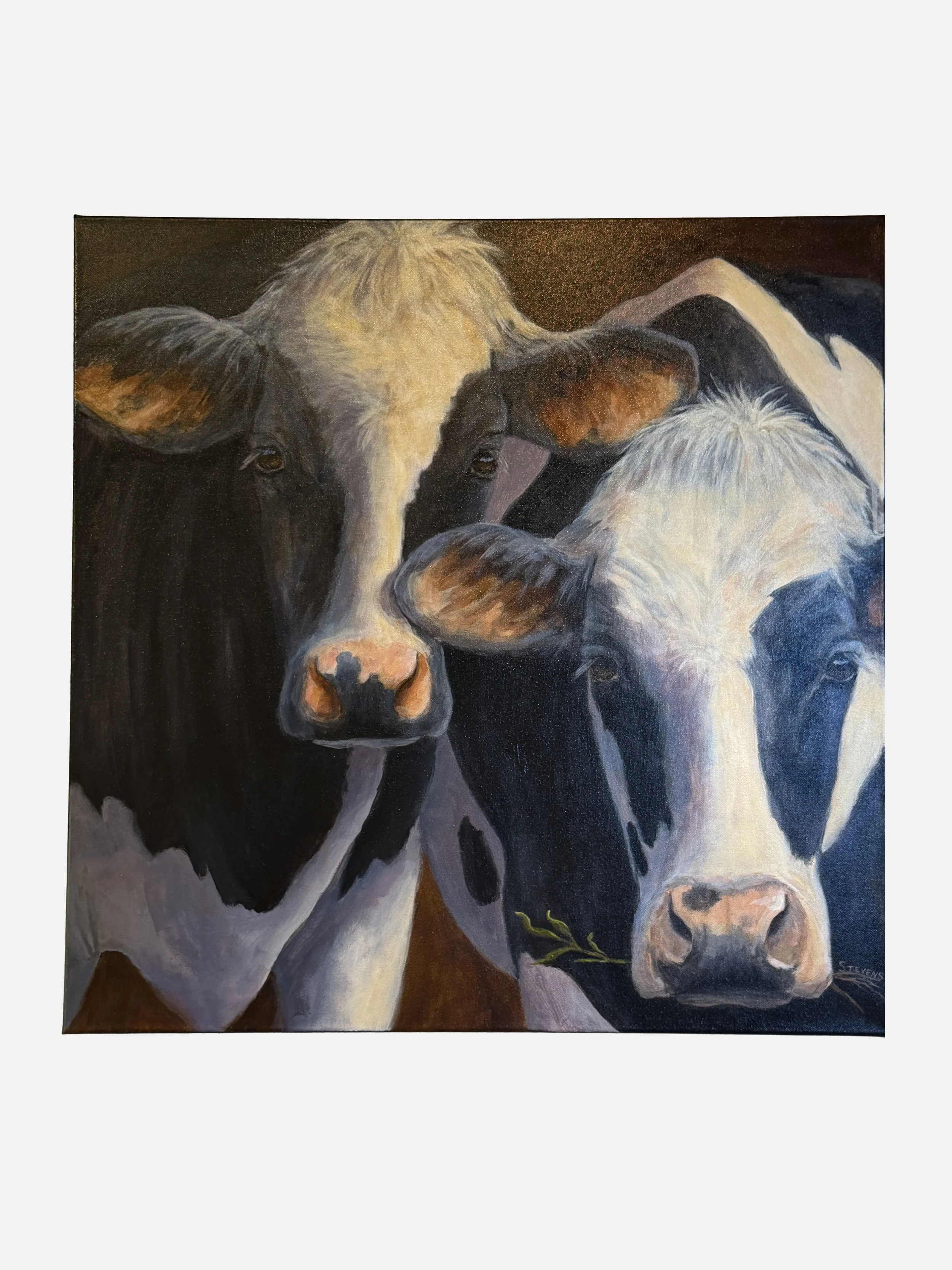 Sandra Stevens / Twos a Herd