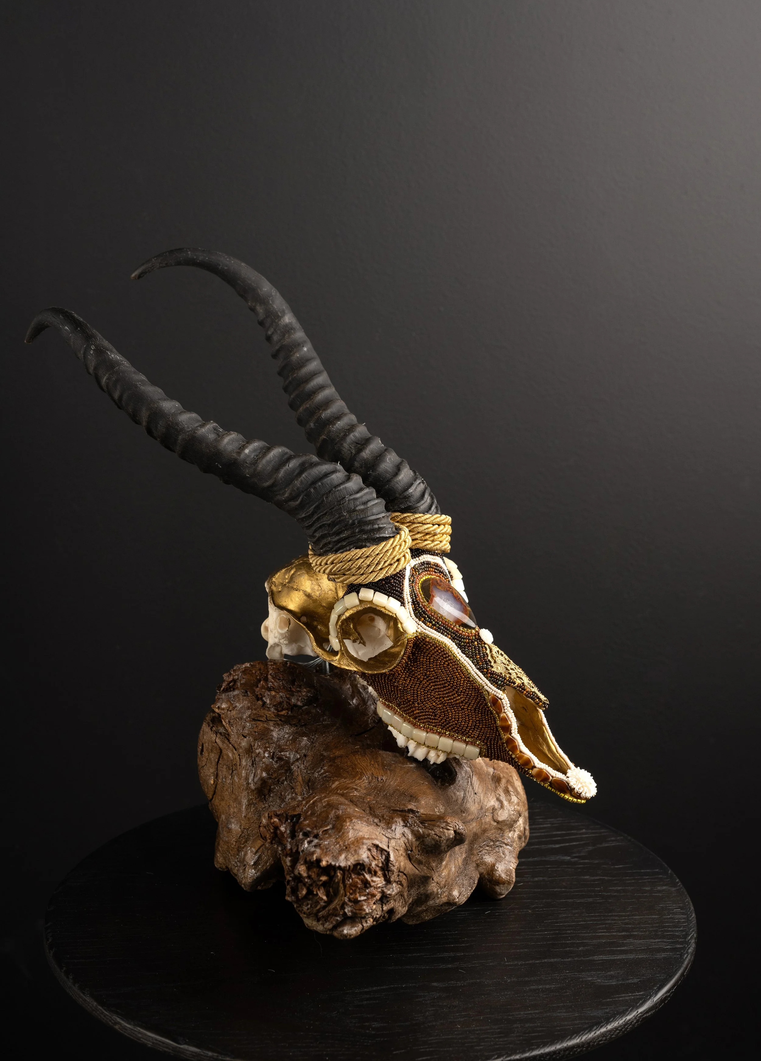 blesbok 2 (8).jpg