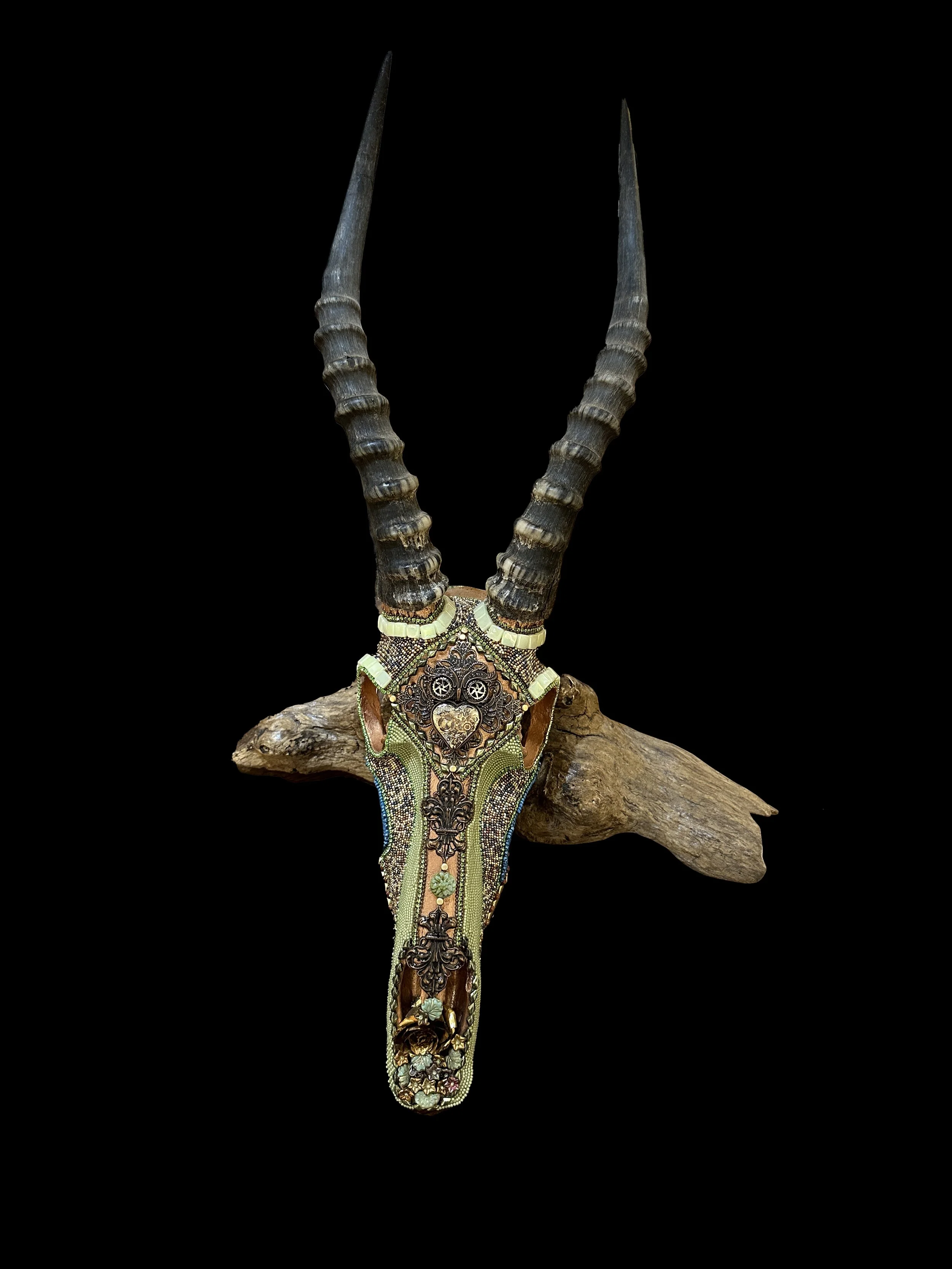 Kelly Nygard / Vishnu