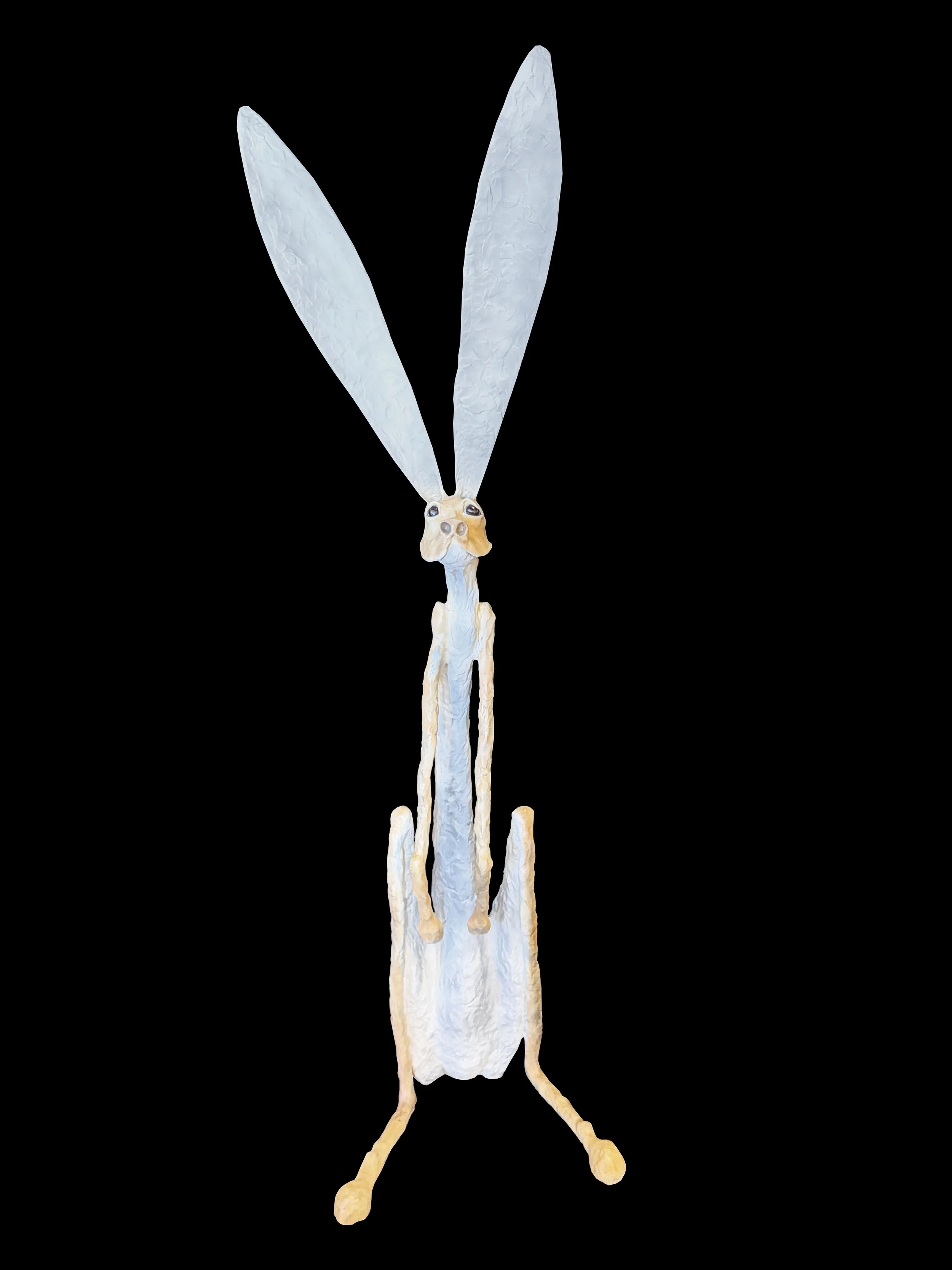 William Carrington / Slim