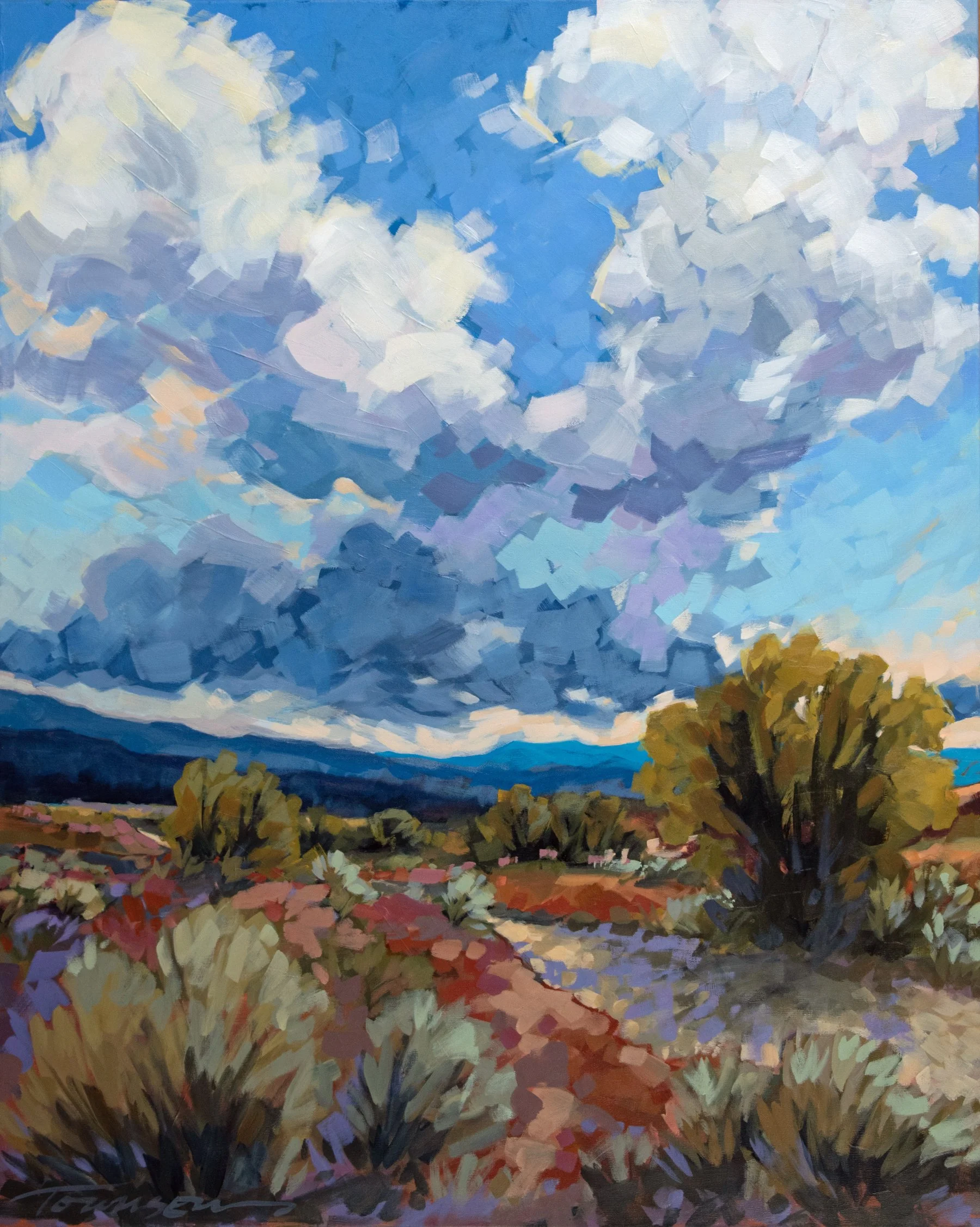 Connie Townsend / Scrub Dance