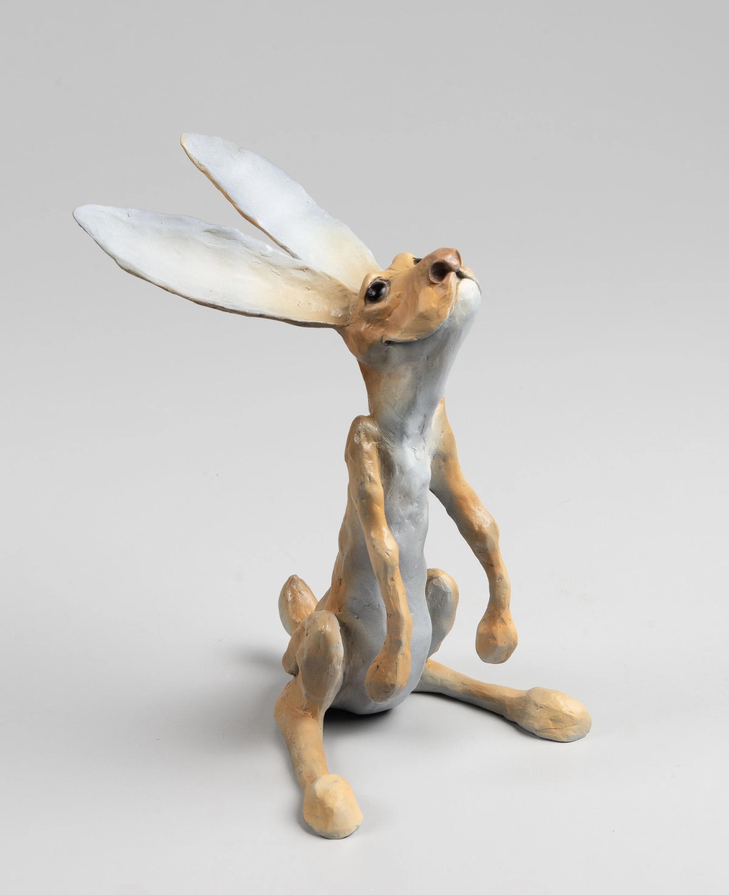 William Carrington / Oh Vaya