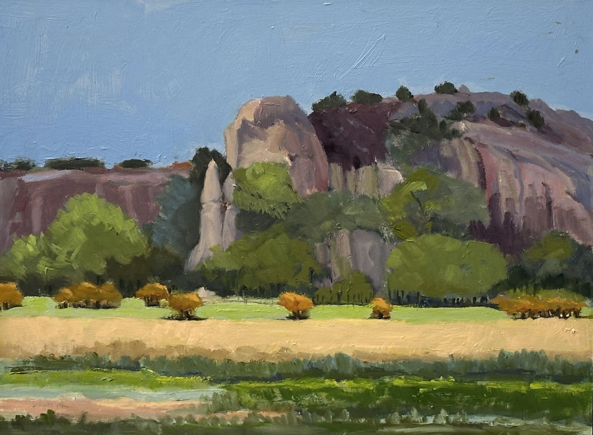 David Loren Bass / Ranch Meadow with Outcropping