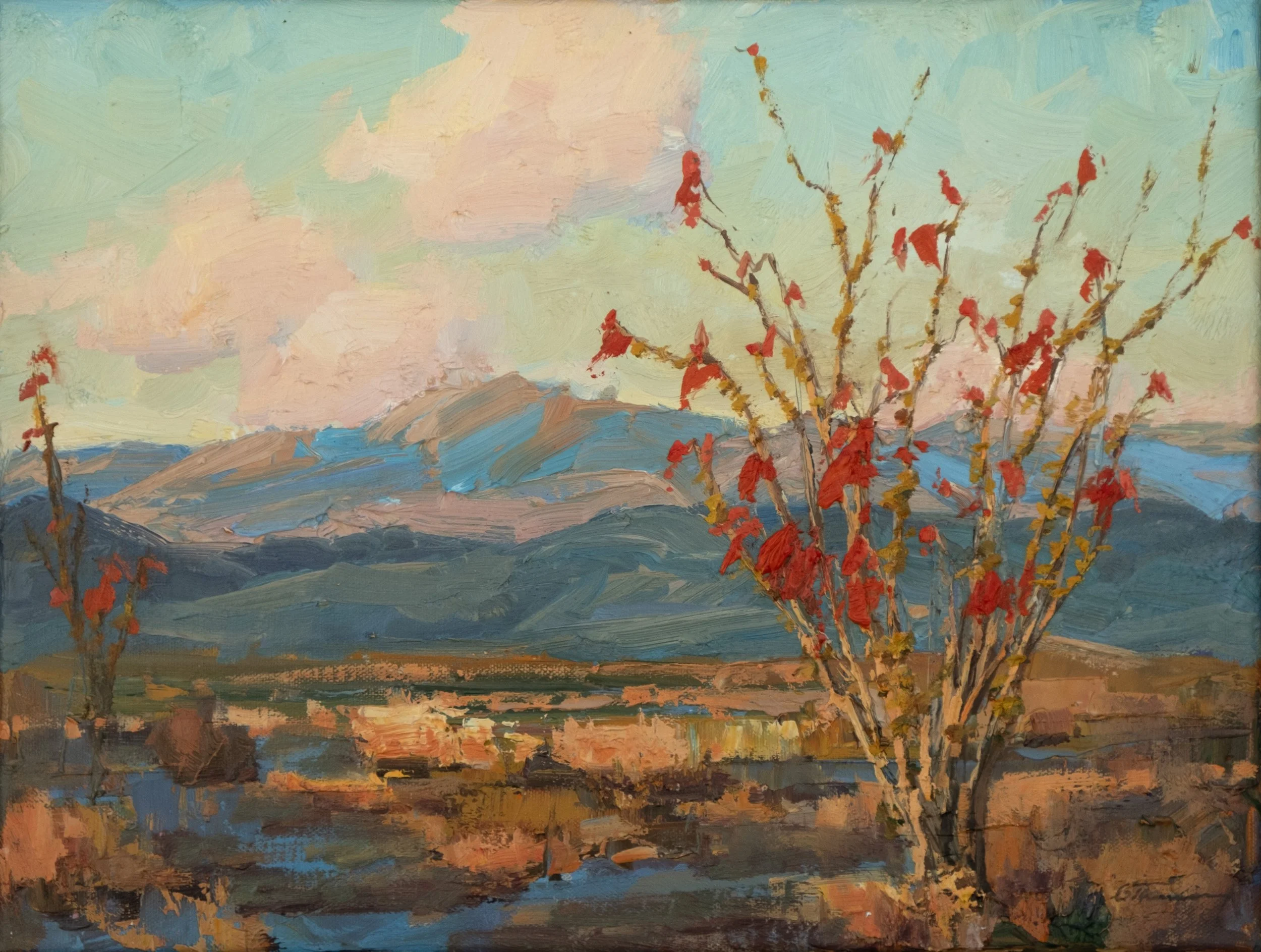 Charles Thomas / Ocotillo Blossoms Mohave