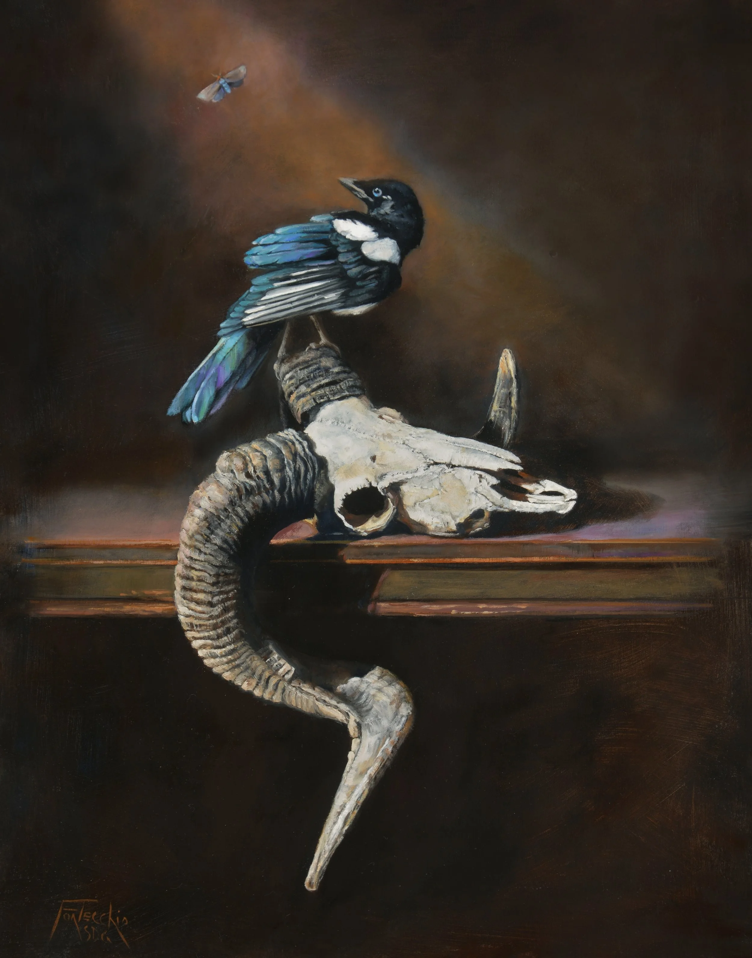 Jan Fontecchio / Ram Skull, Ctenucha Moth, and Magpie