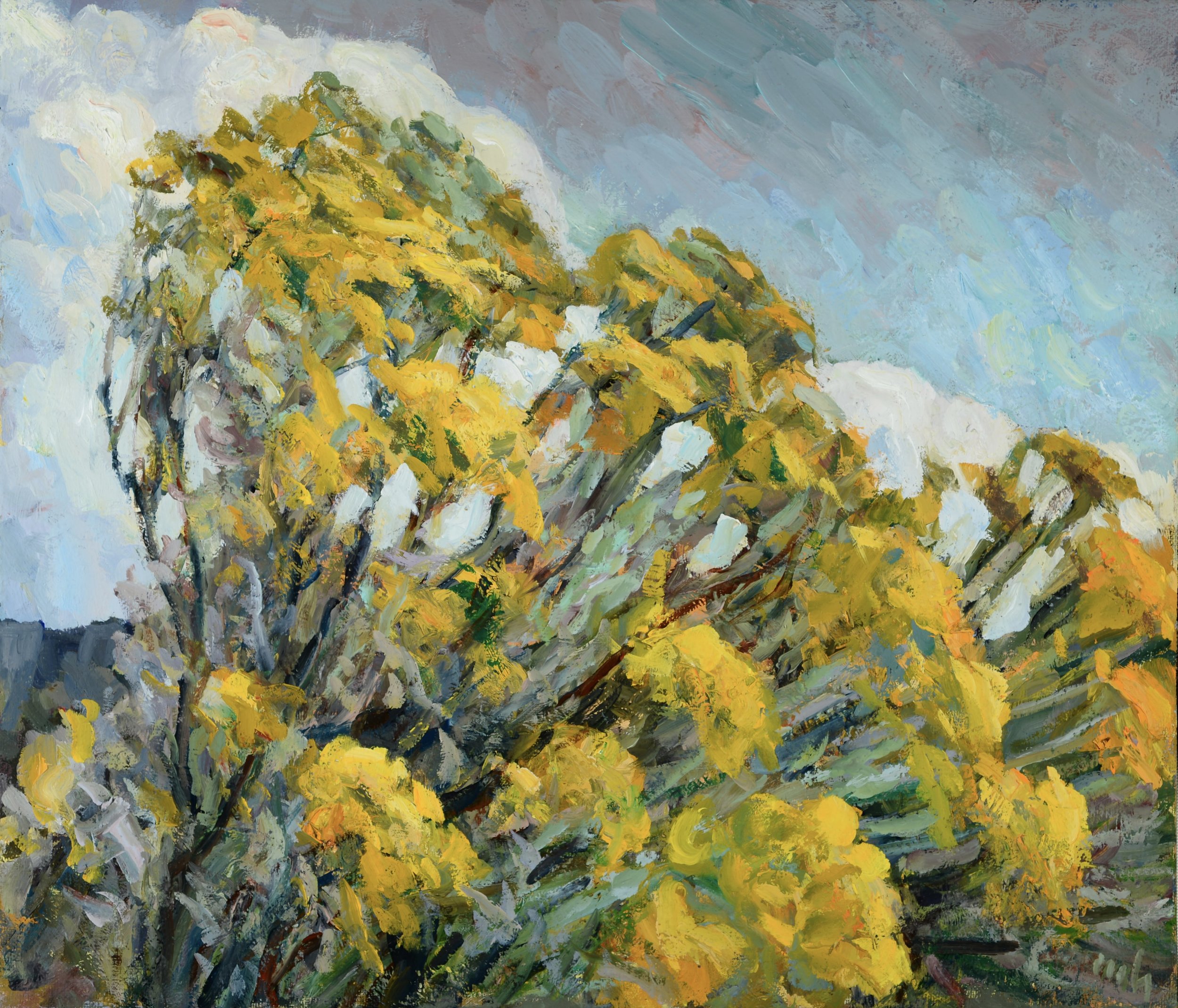 Matthew Higginbotham / Sunset Brush