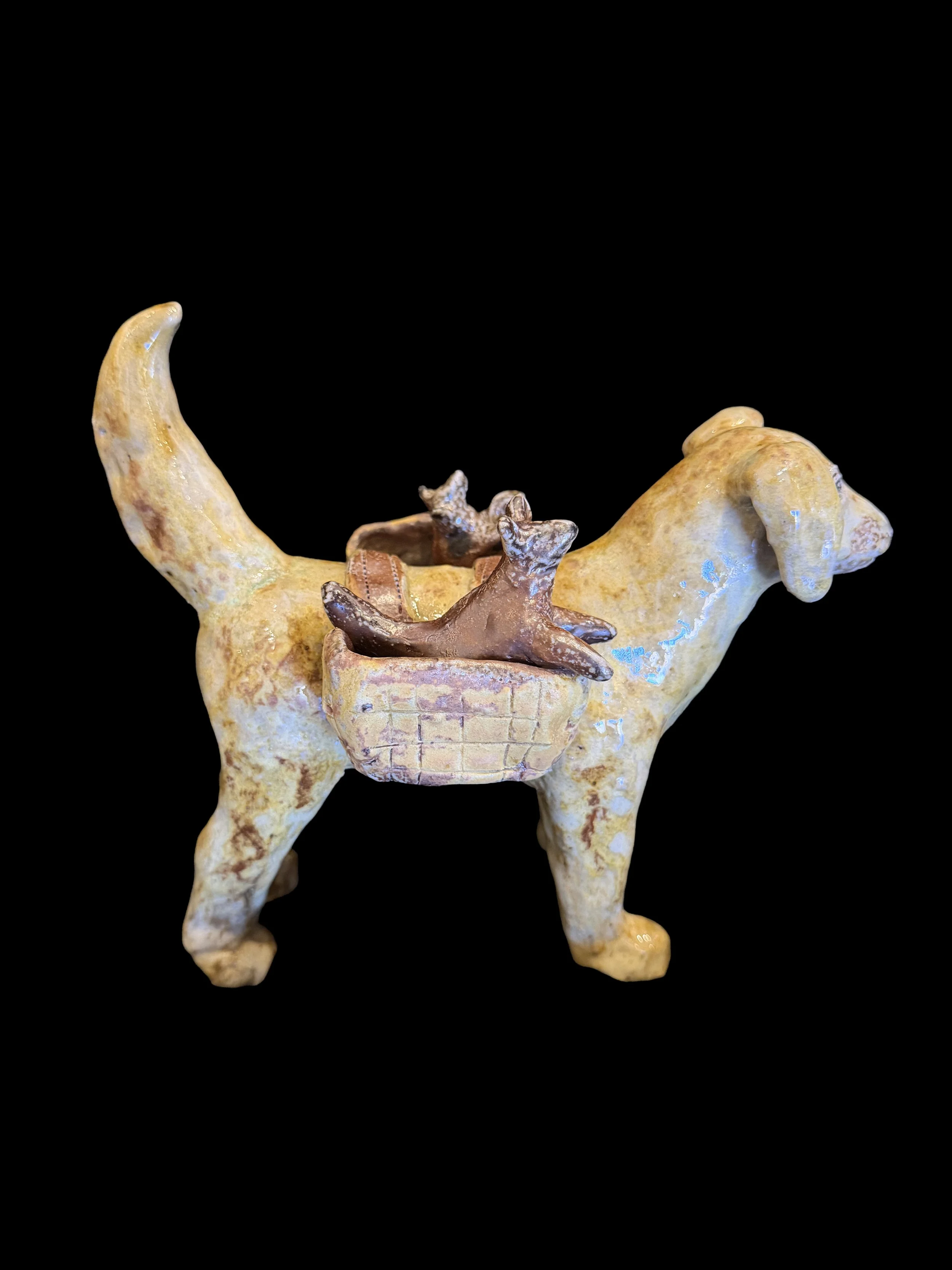 Caroline Douglas / Dog