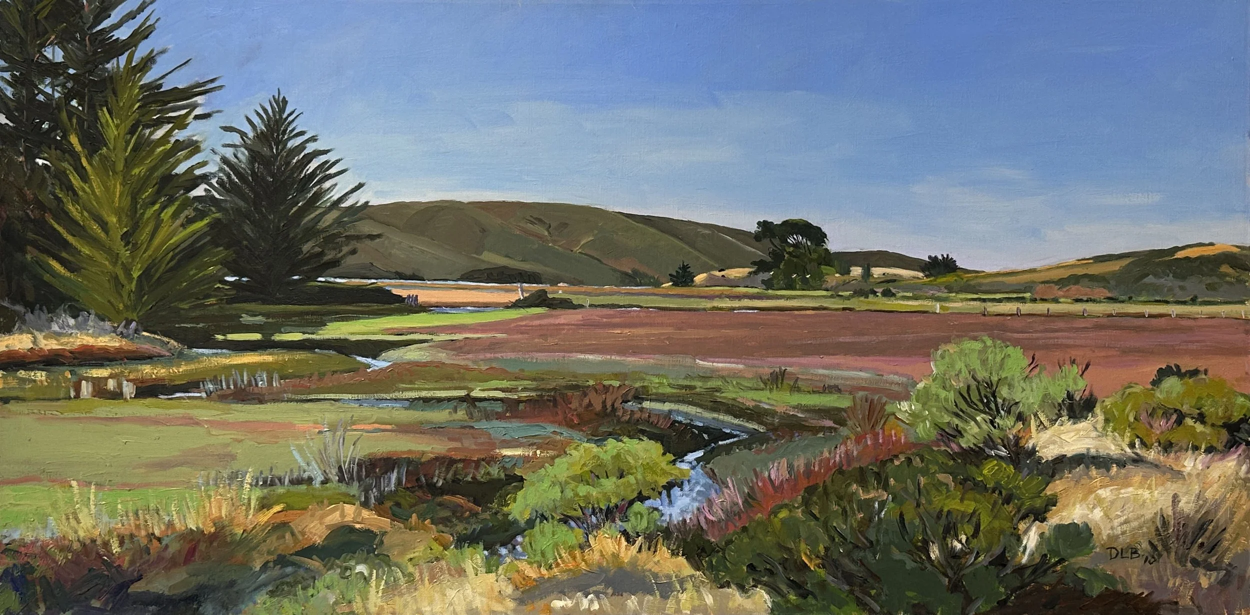 David Loren Bass / Tidal Creek into Tomales Bay