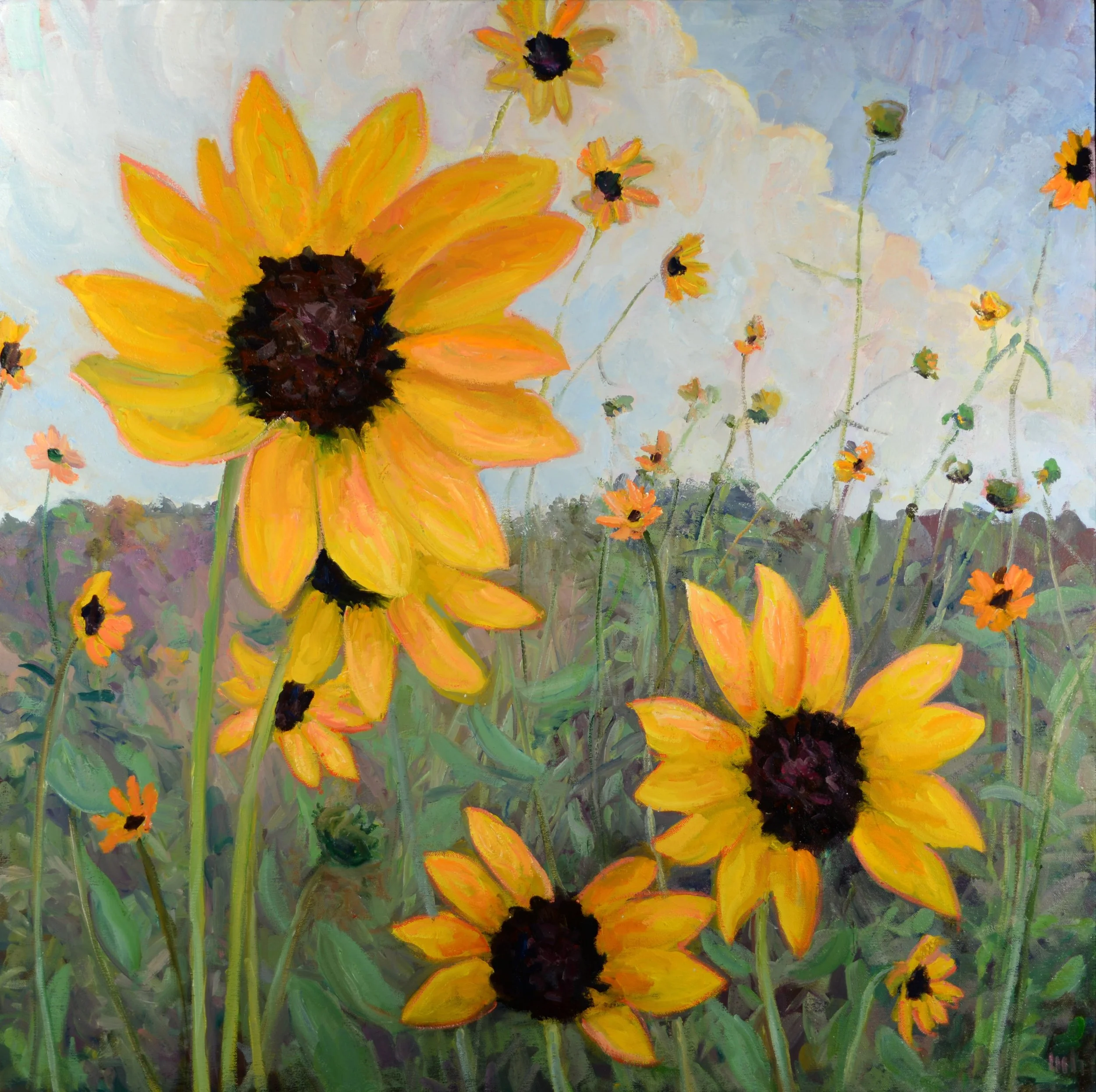 Wild Sunflowers, oil on canvas, 30x30, 2026.jpg