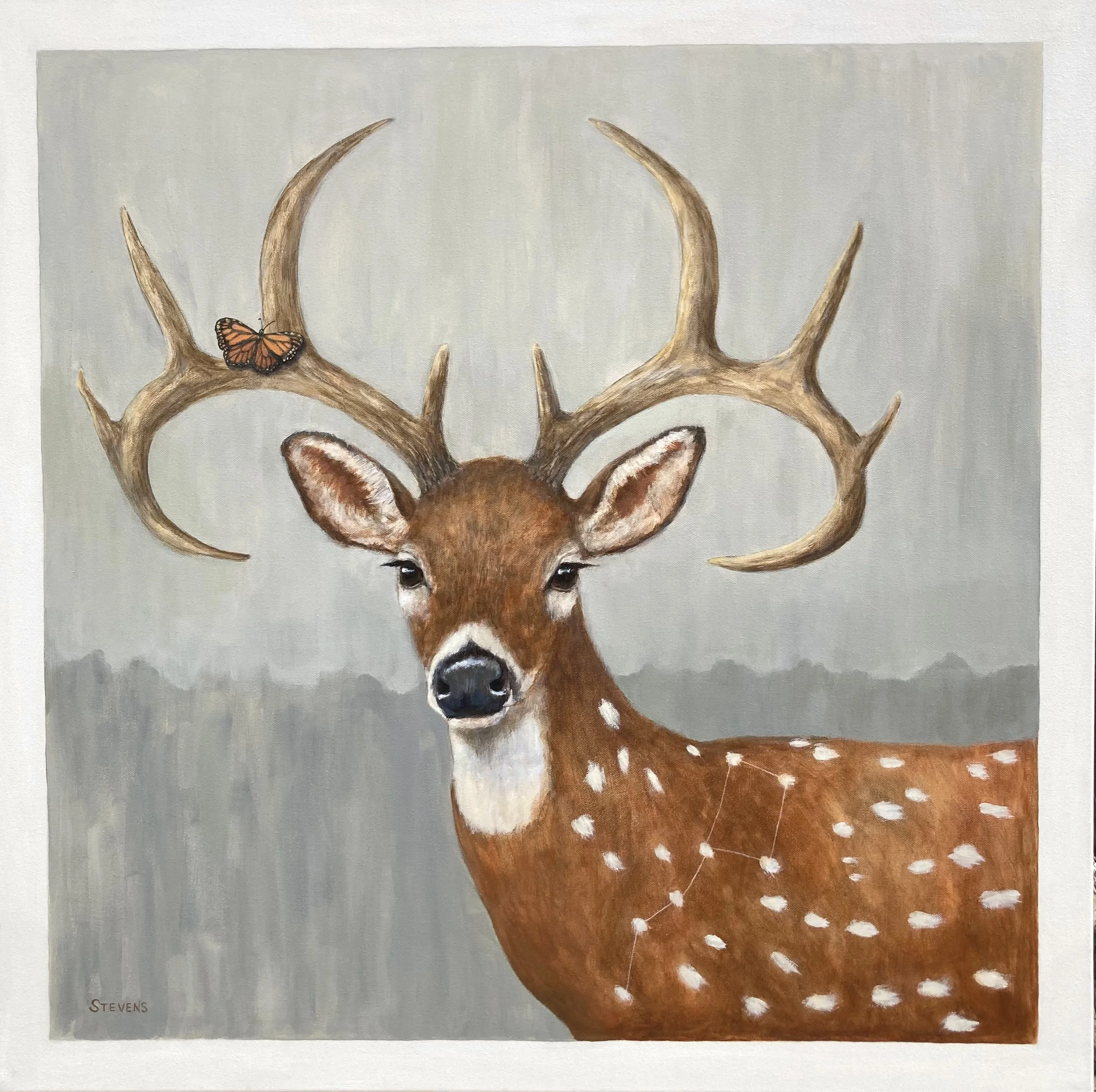 Sandra Stevens / Starbuck