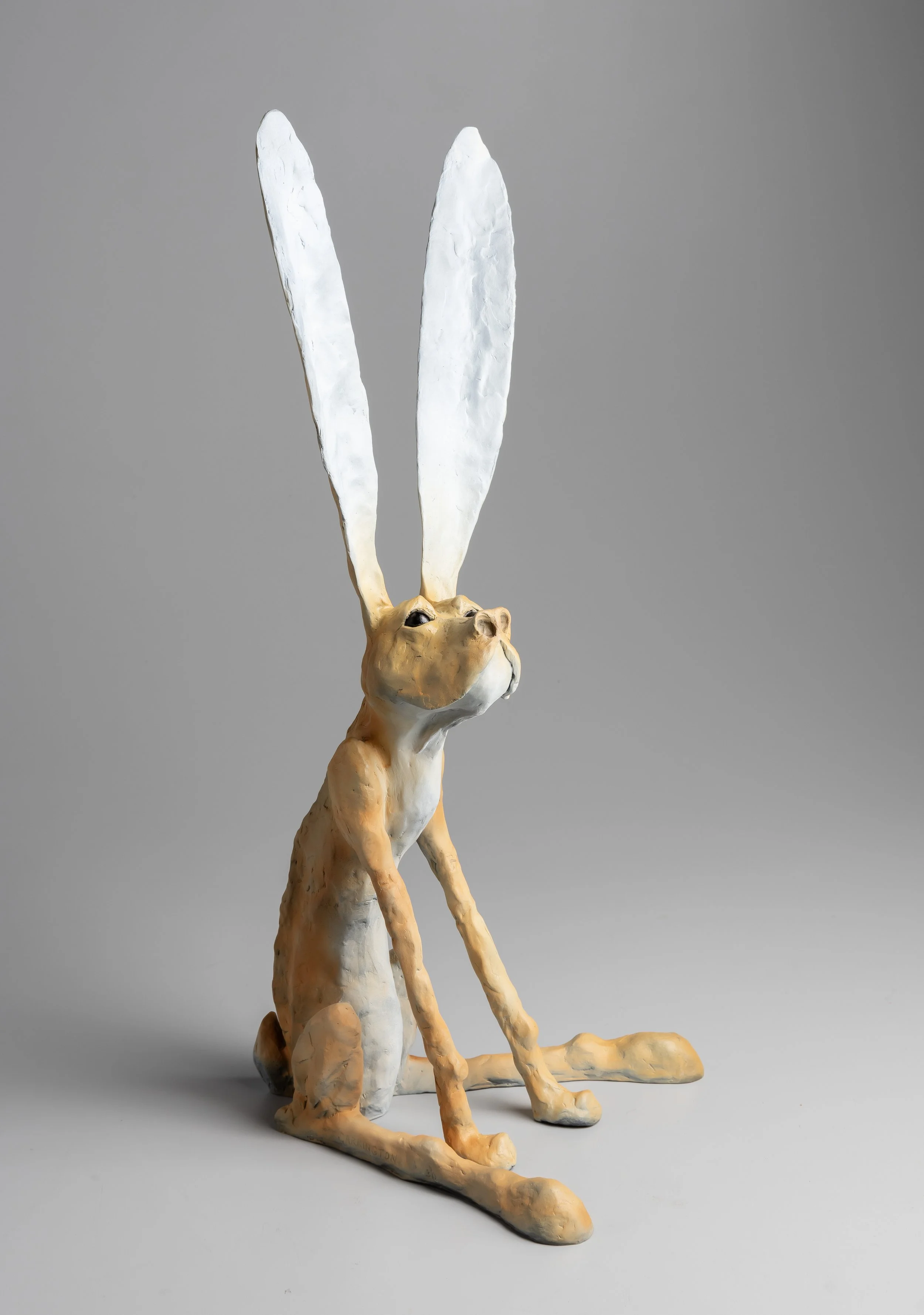 William Carrington / Lindo!